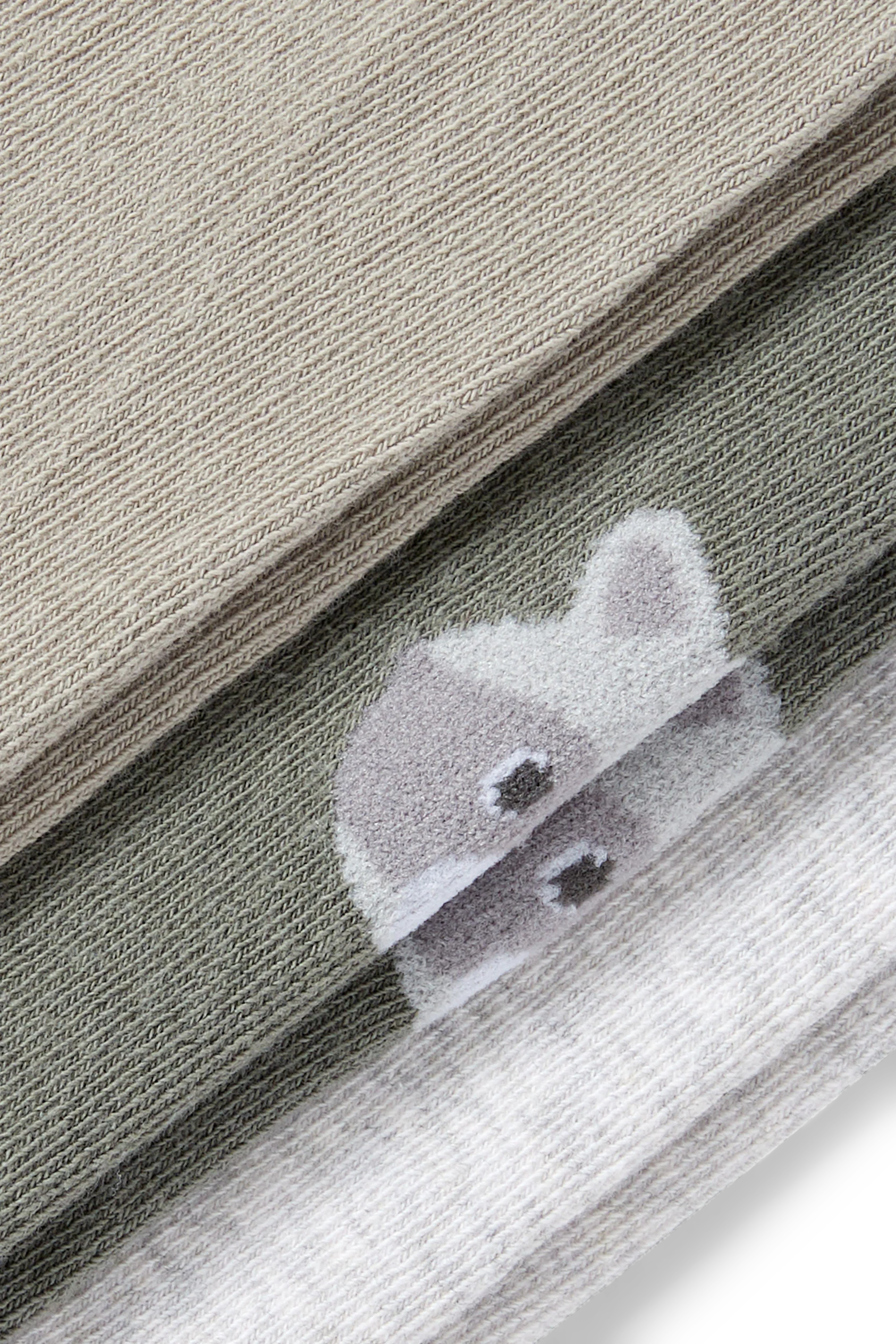 Multipack of 3 - raccoon - baby tights