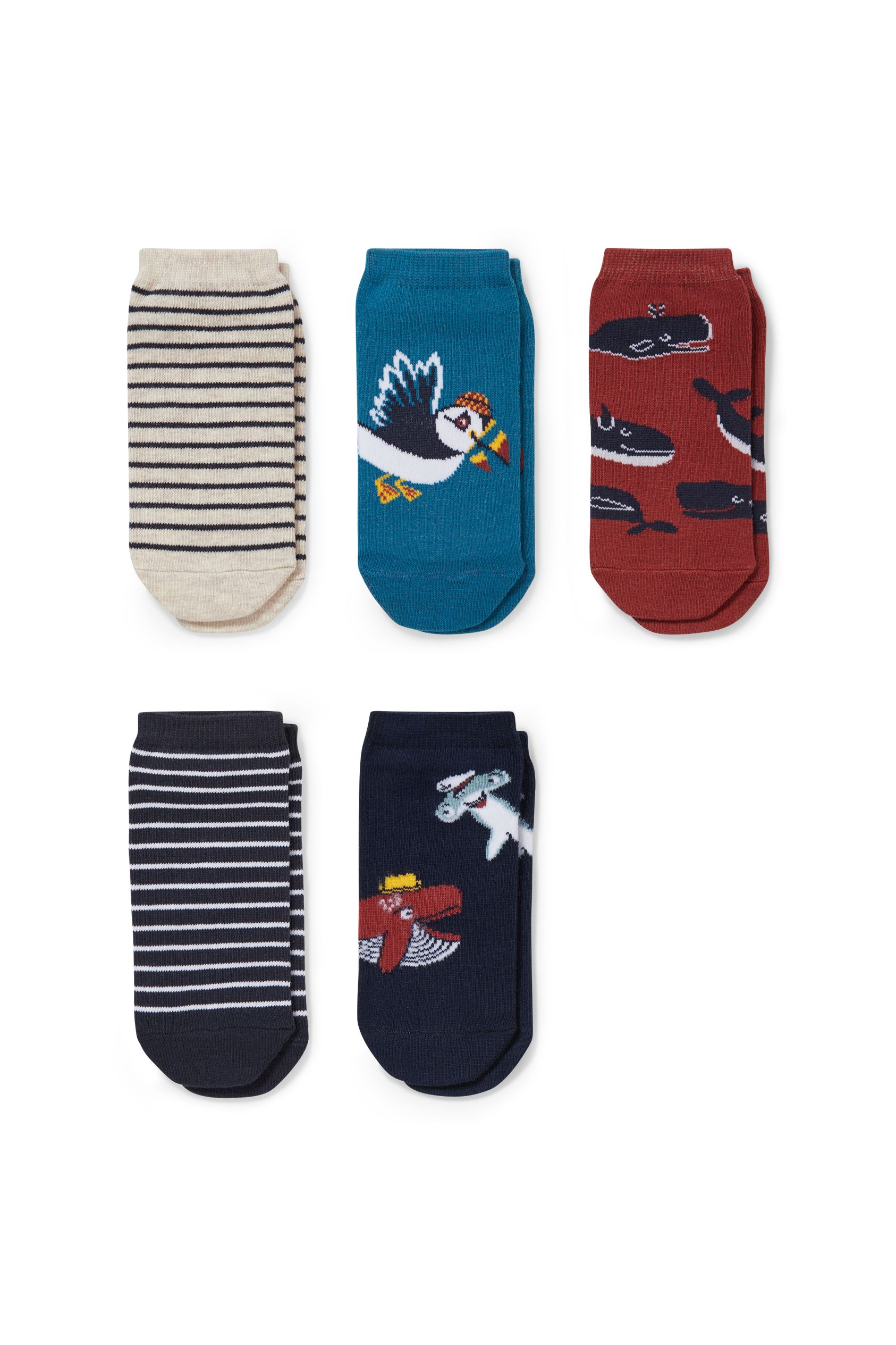 Multipack of 5 - trainer socks