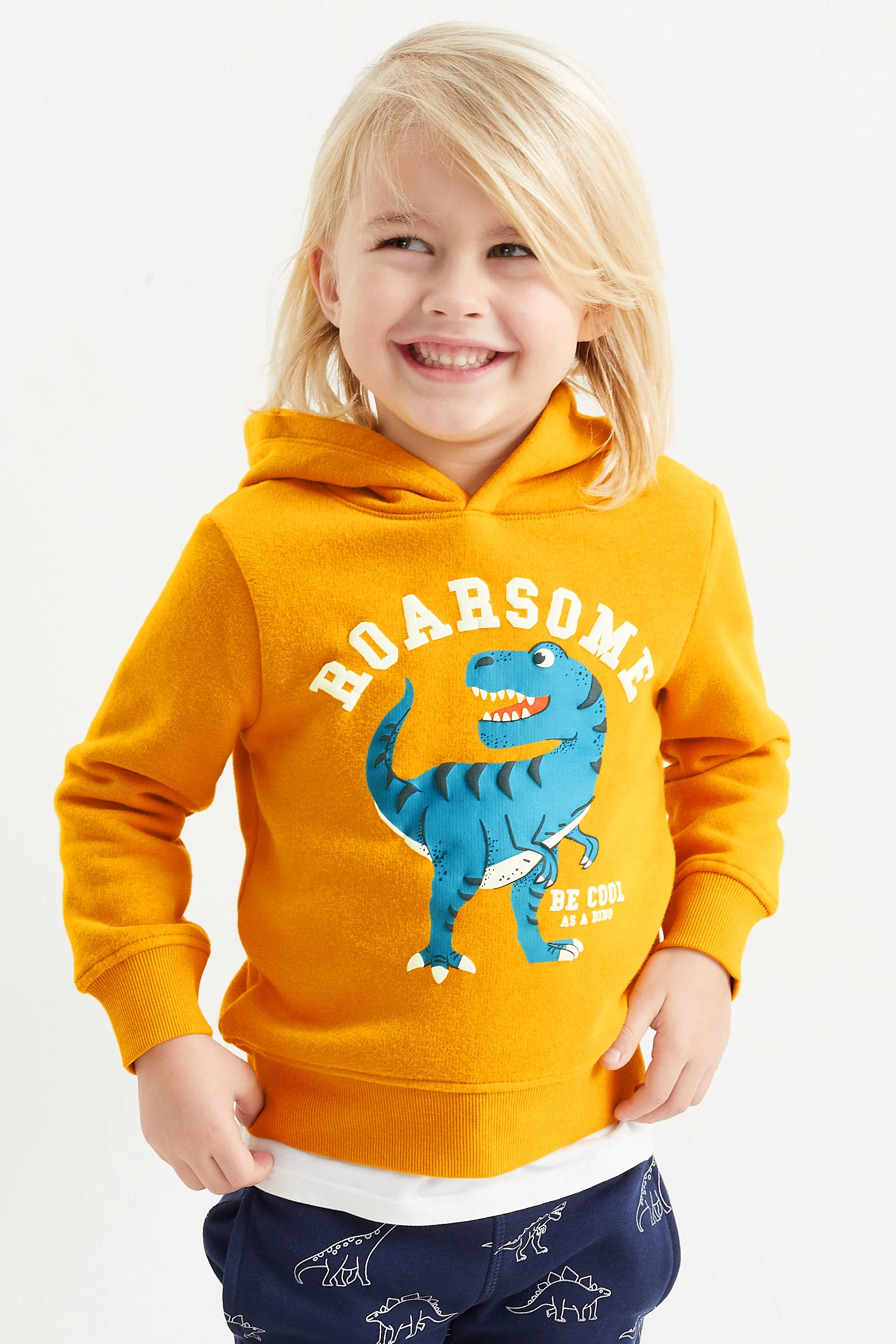 Multipack of 2 - dinosaur - hoodie and sweatshirt