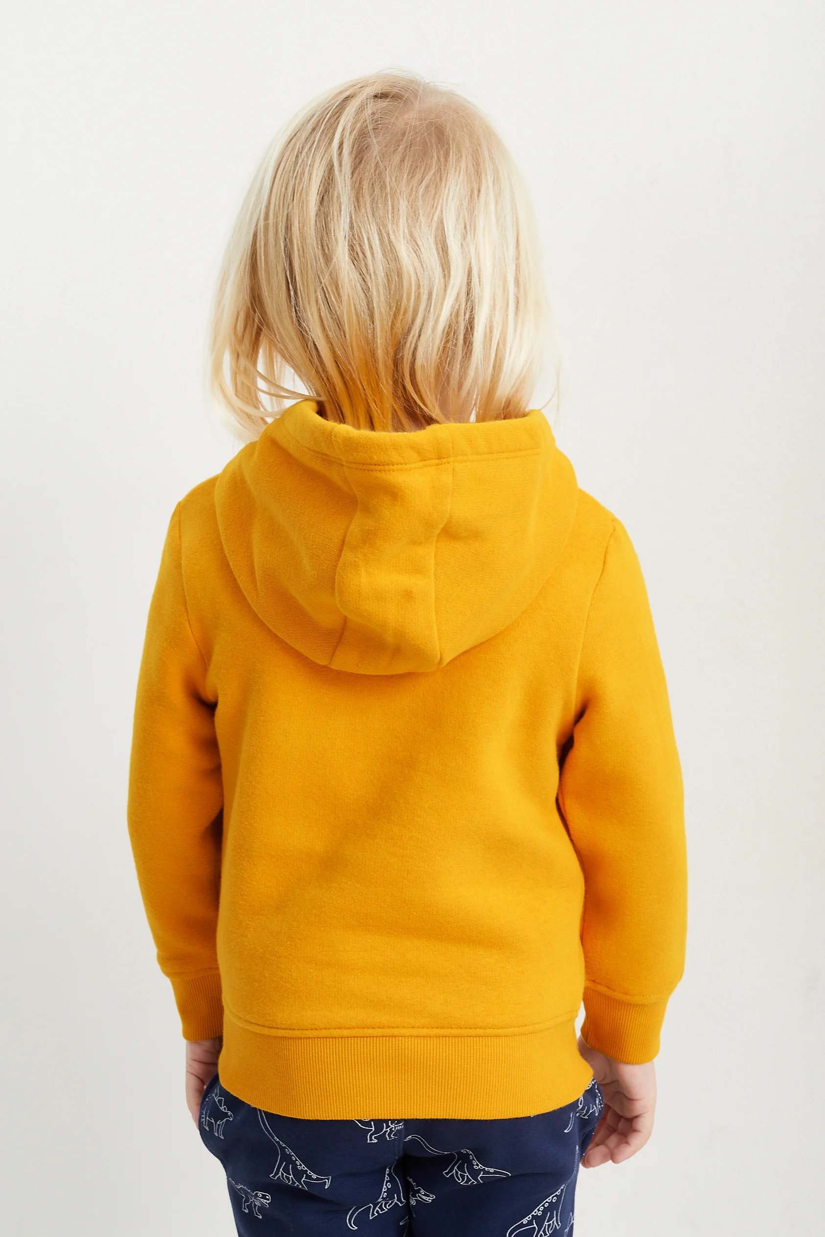 Multipack of 2 - dinosaur - hoodie and sweatshirt