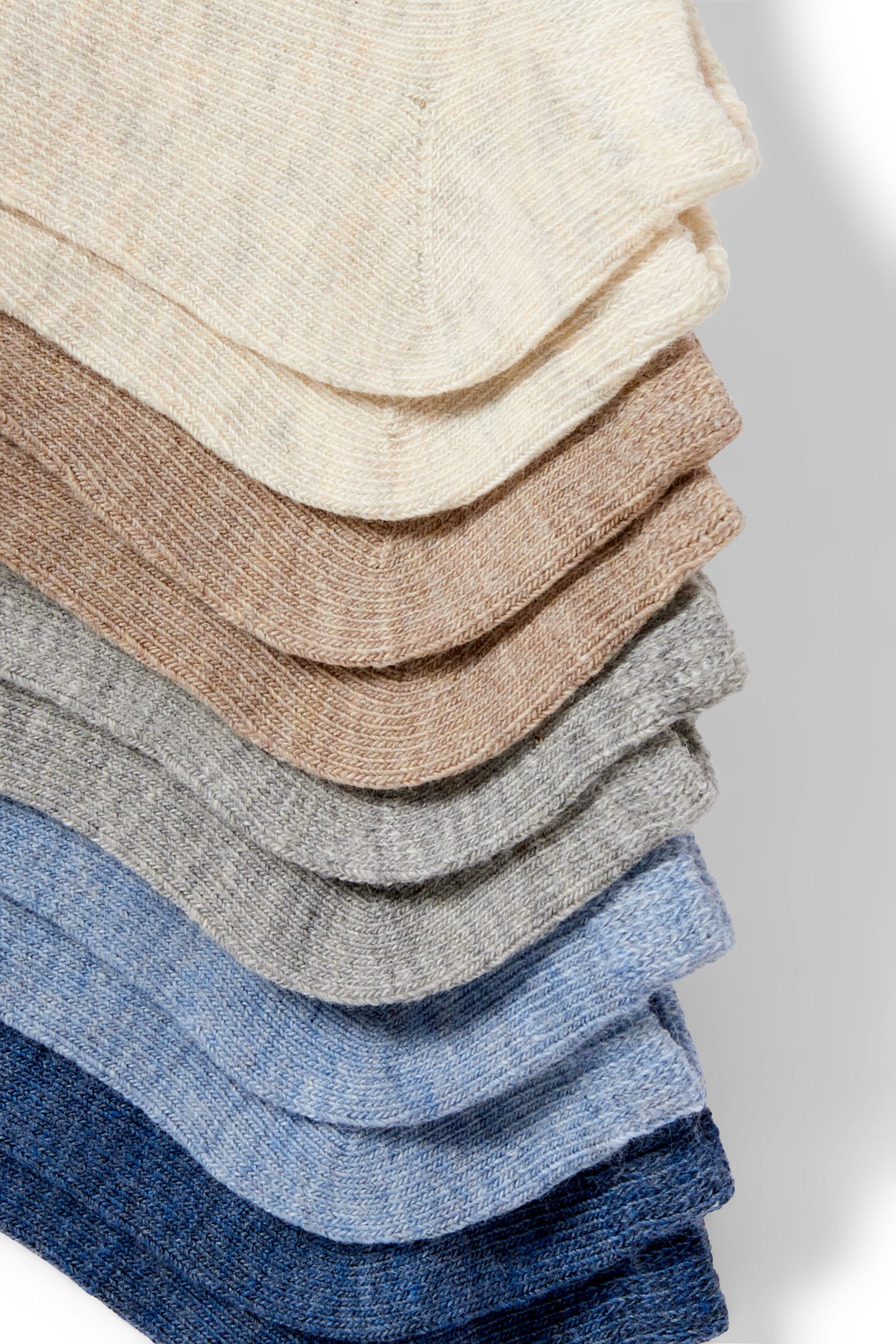 Multipack of 10 - baby trainer socks