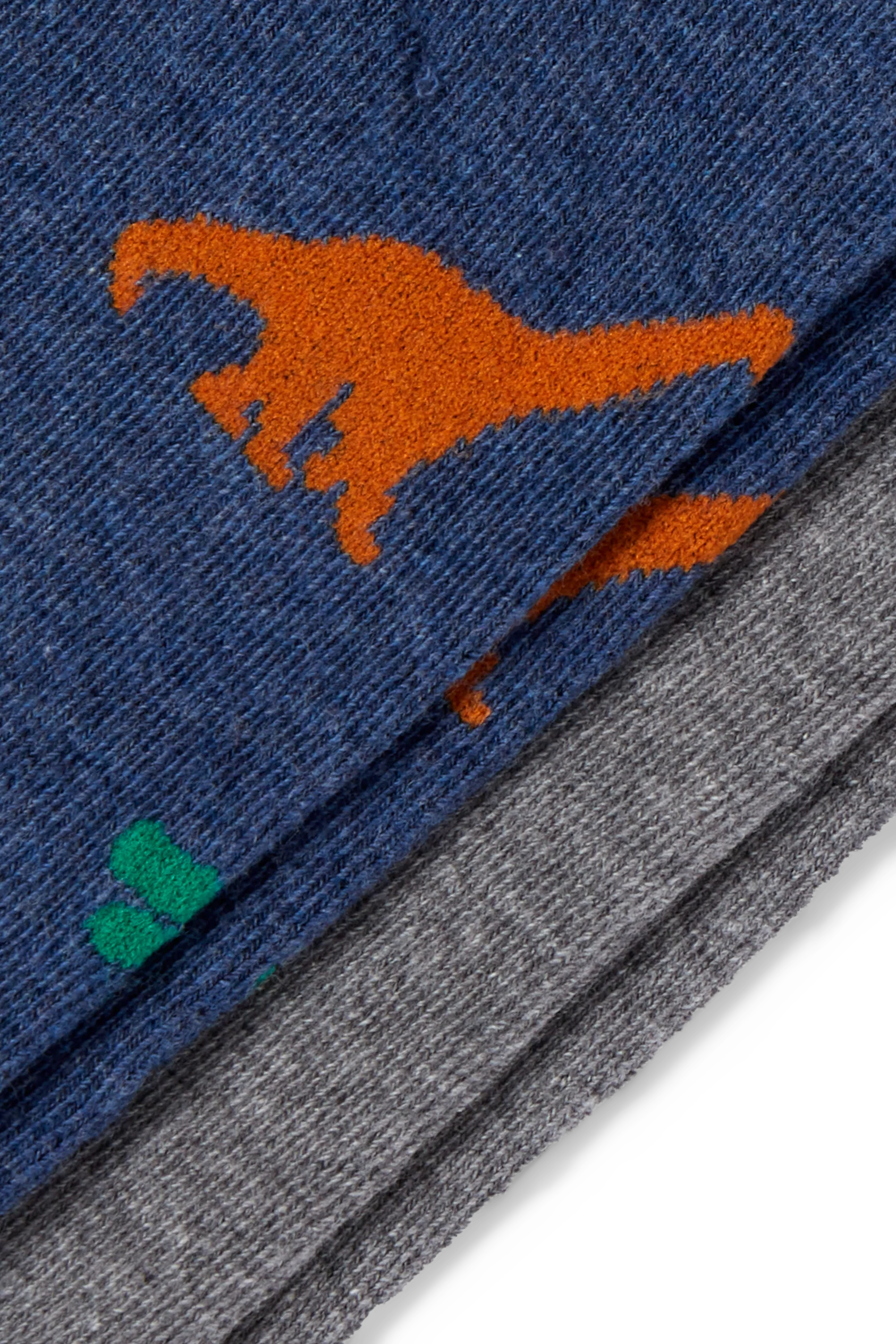 Multipack of 2 - dinosaur - tights