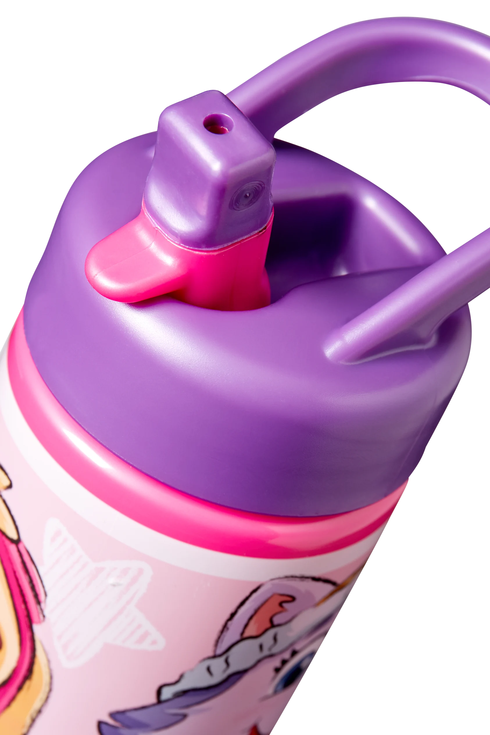 PAW Patrol - drinks bottle - 420 ml