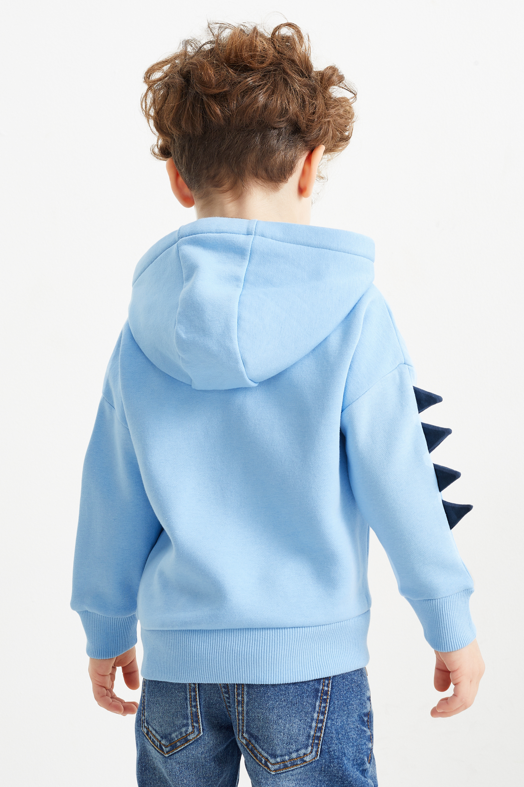 Dinosaur - hoodie