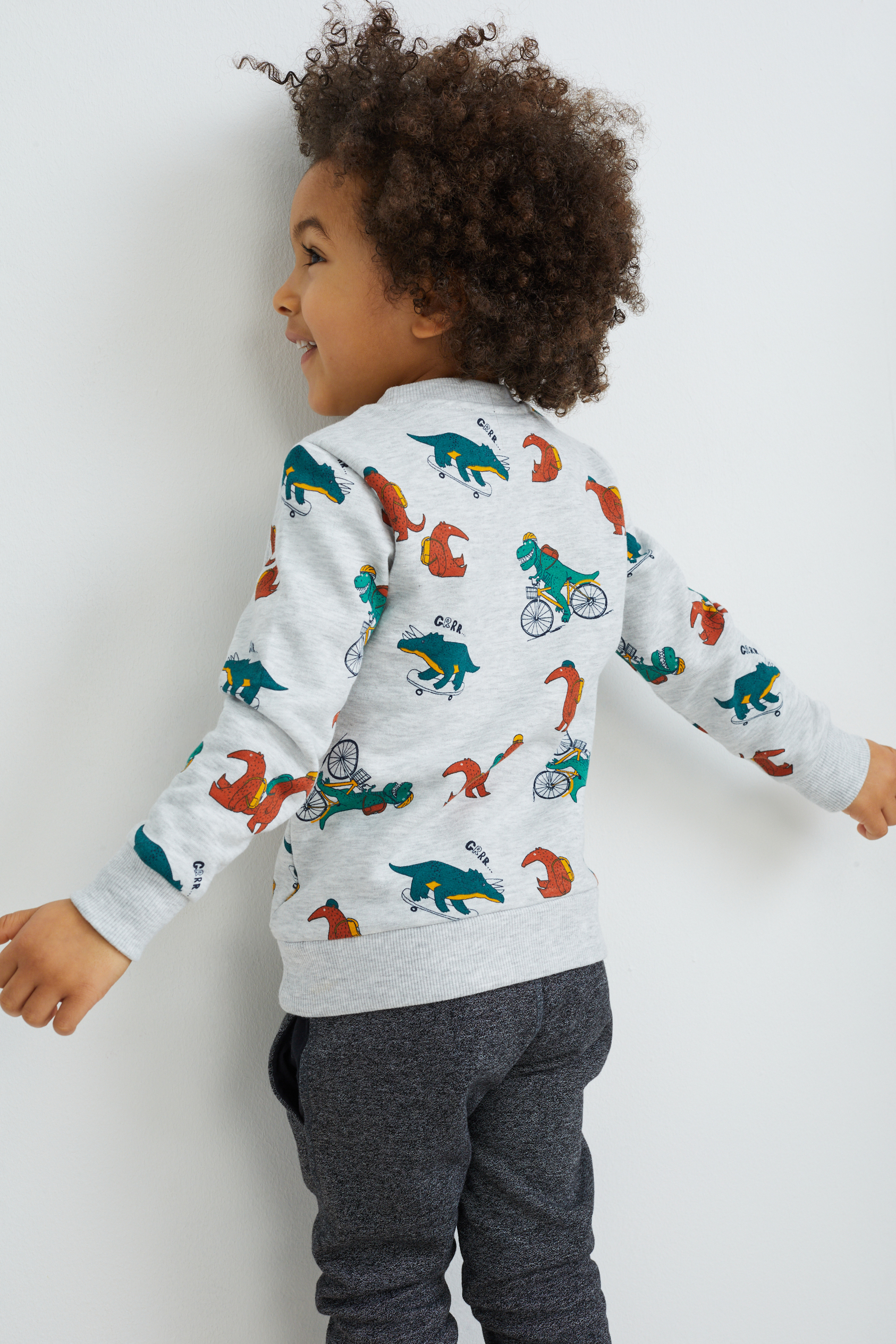 Dinosaur - sweatshirt