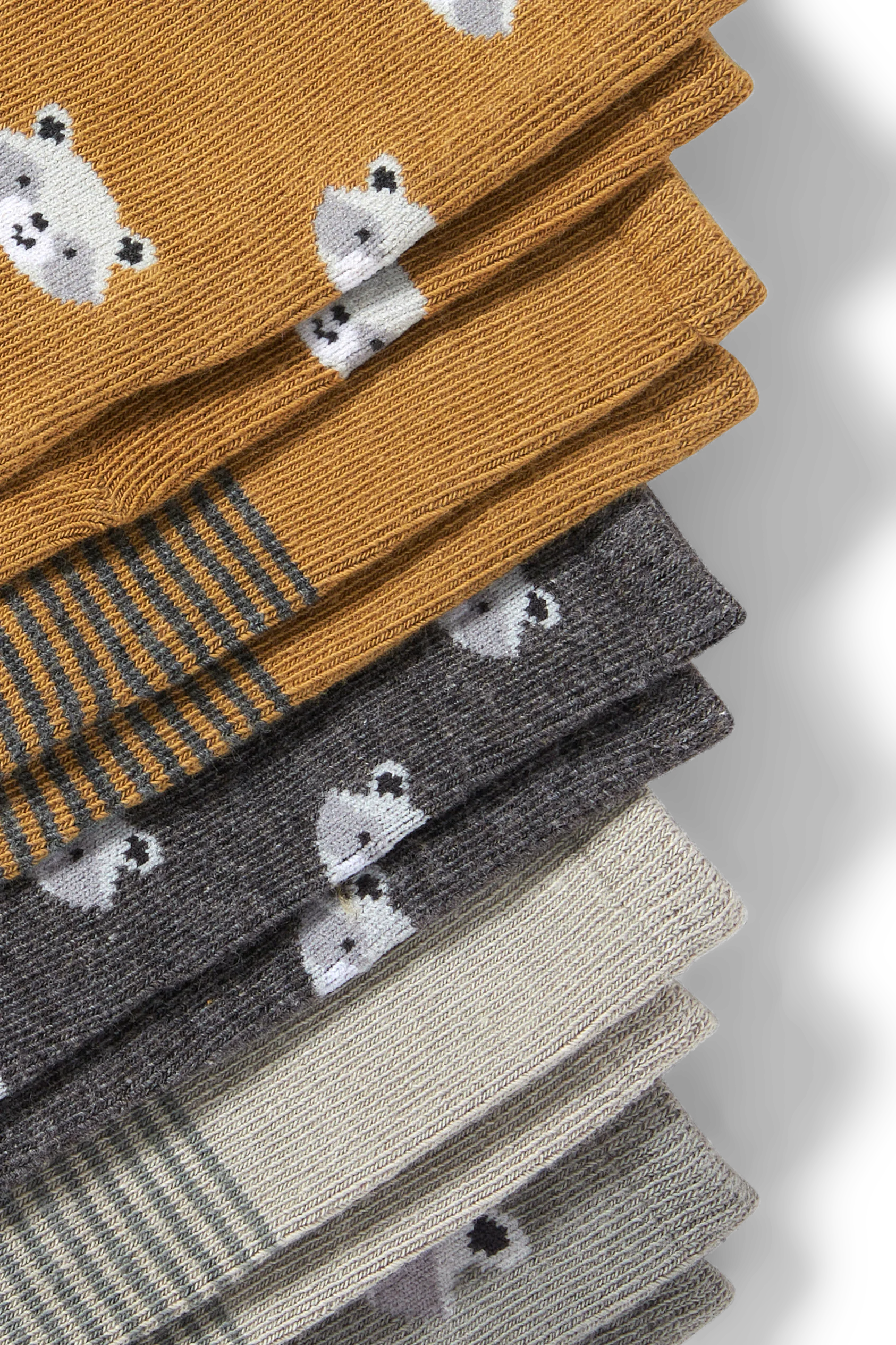 Multipack of 5 - raccoon - baby socks with motif