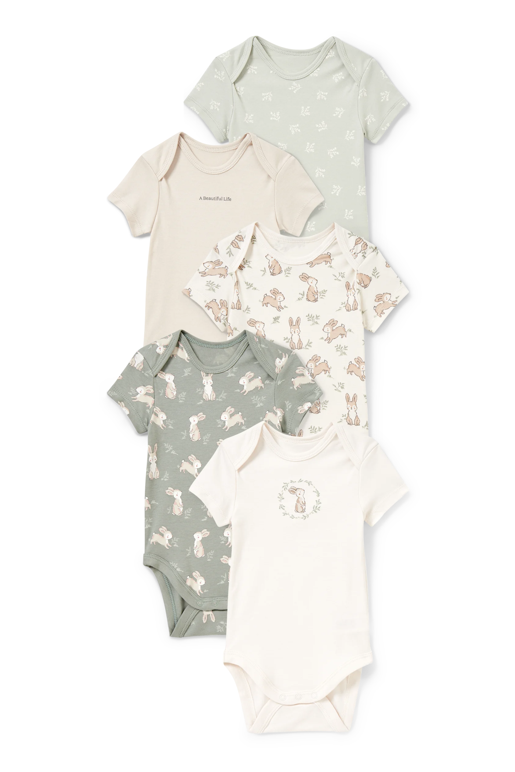 Multipack of 5 - rabbit - baby bodysuit