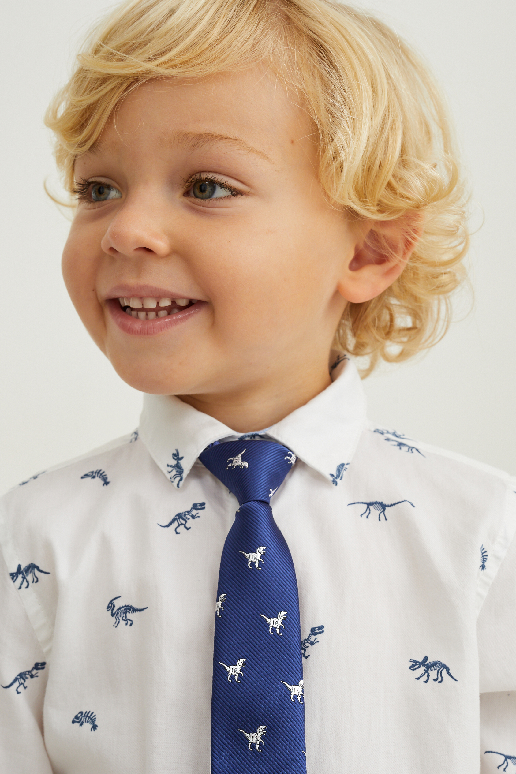 Dinosaur - tie - patterned