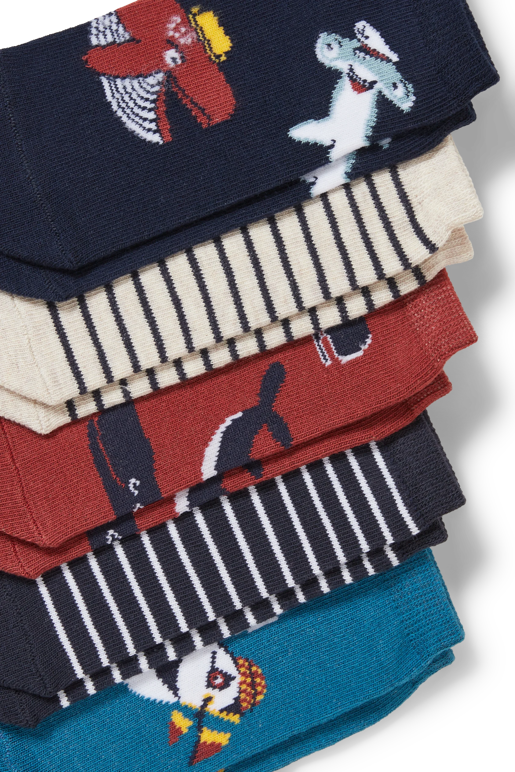 Multipack of 5 - trainer socks