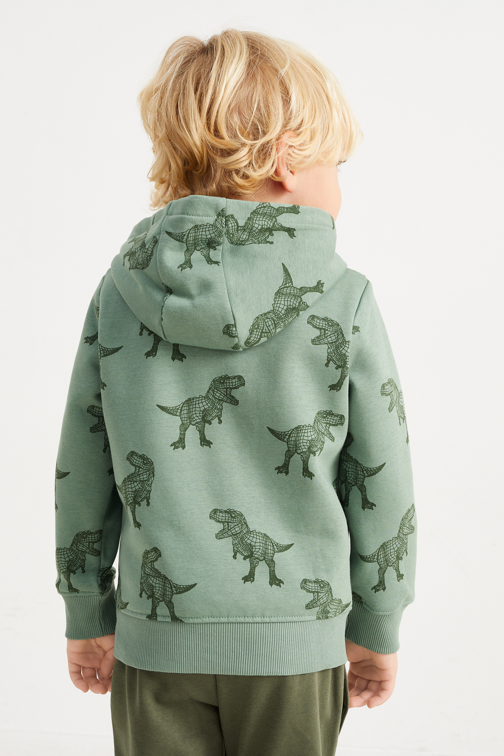 Dinosaur - hoodie