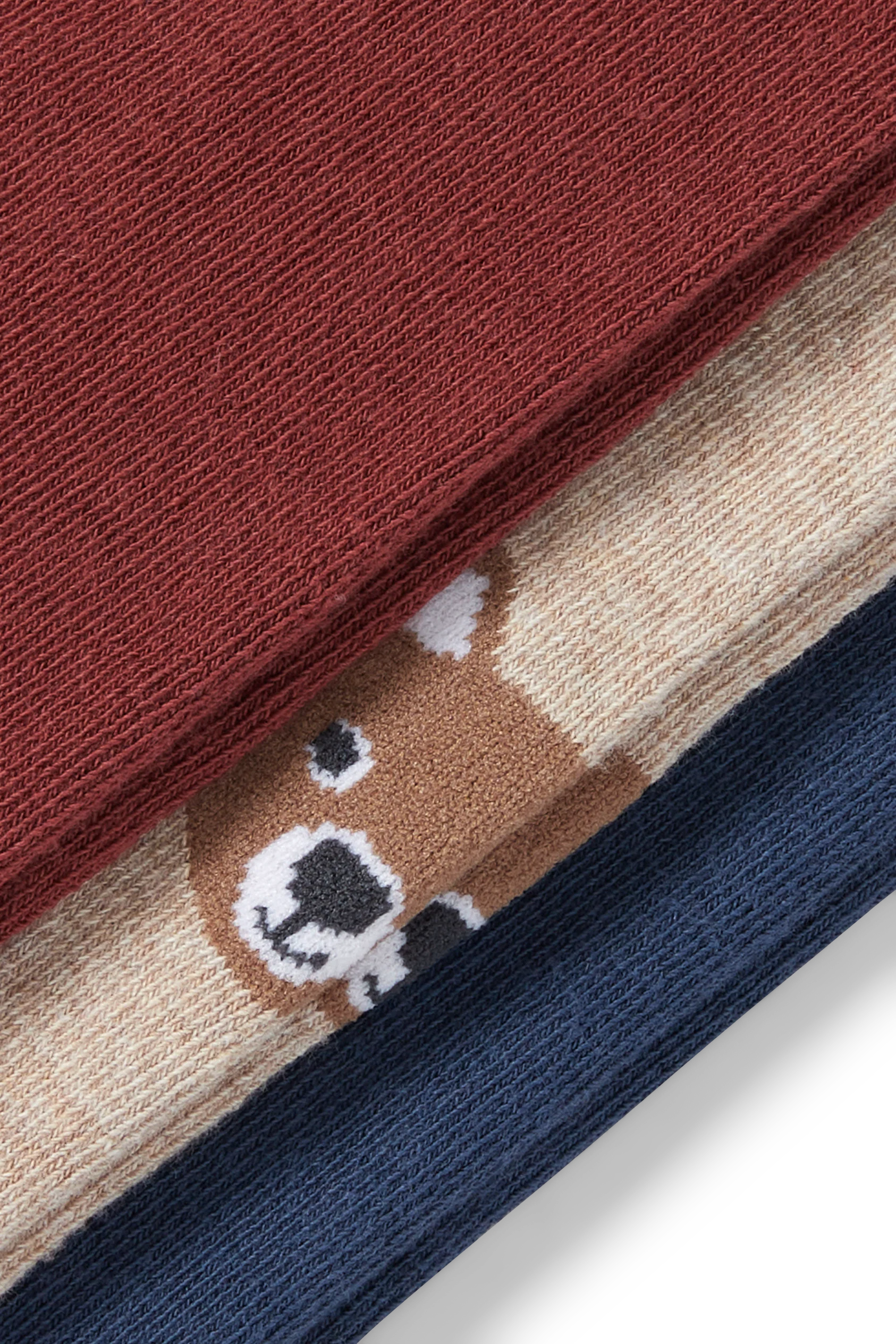 Multipack of 3 - teddy bear - baby tights