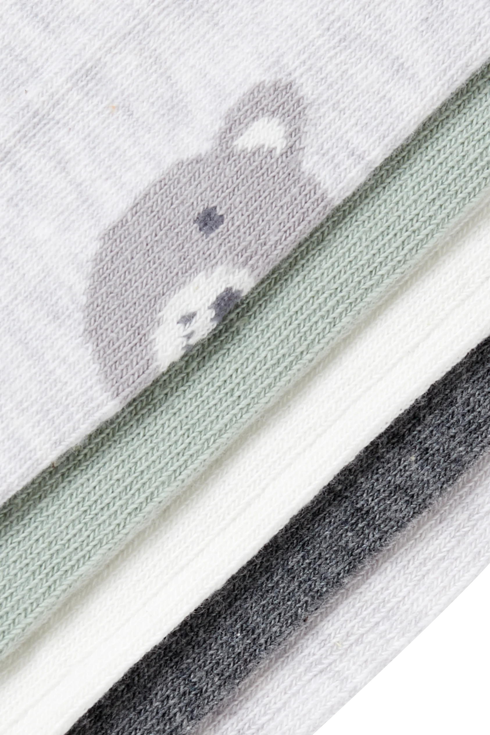 Multipack of 5 - teddy bear - baby tights