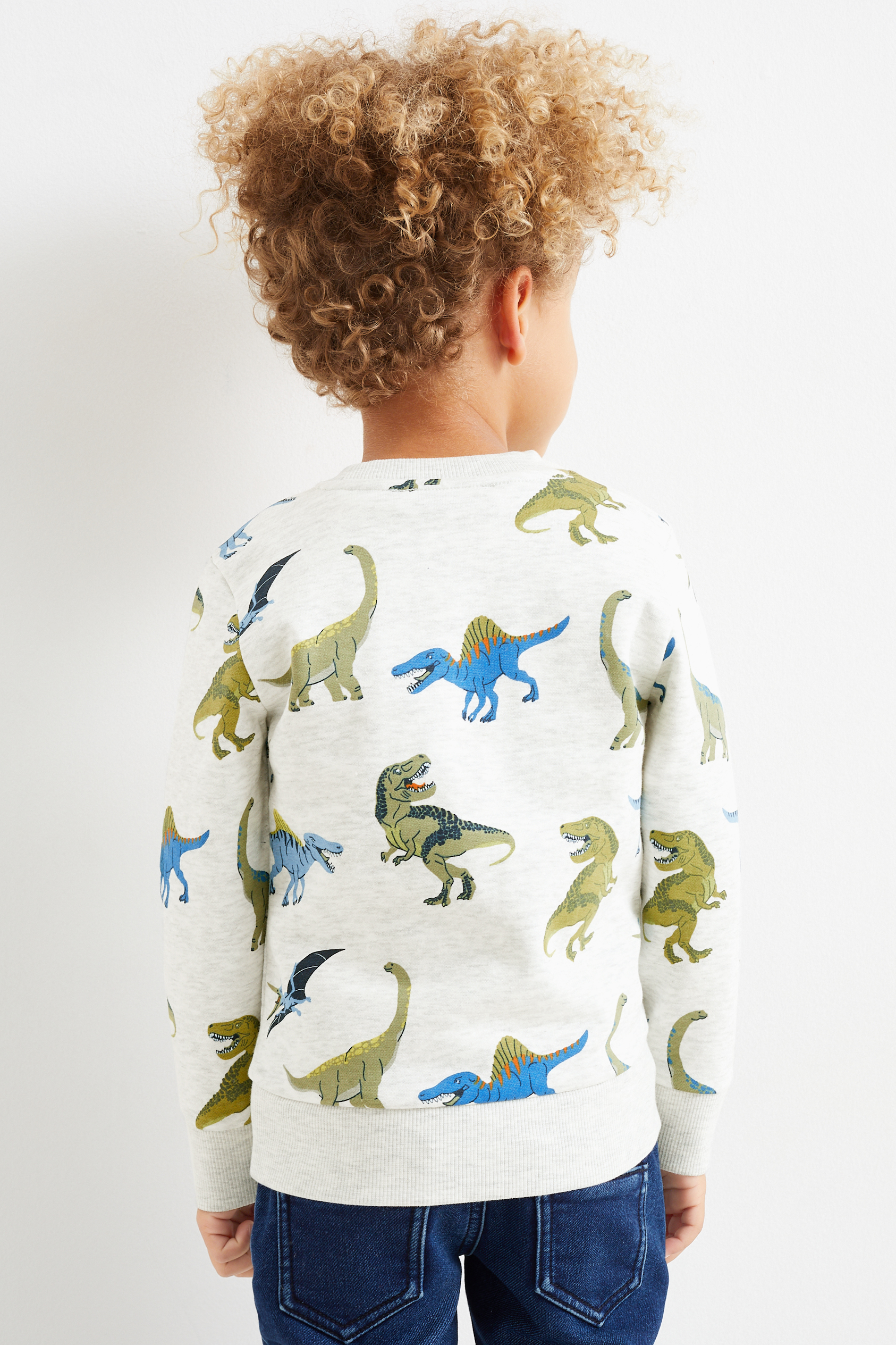 Dinosaur - sweatshirt