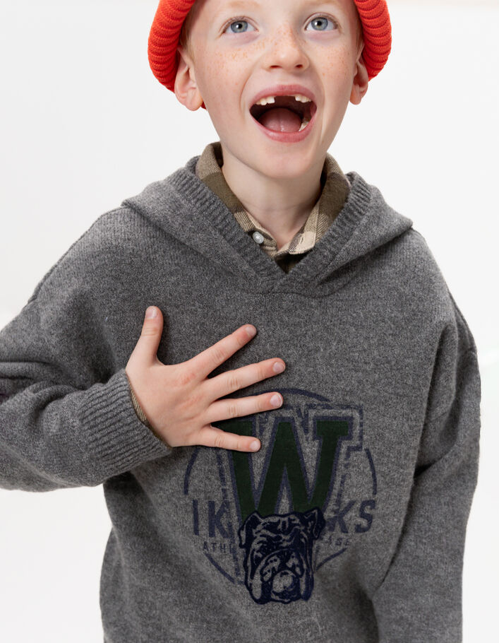 Pull &agrave; capuche gris tricot visuel chien gar&ccedil;on