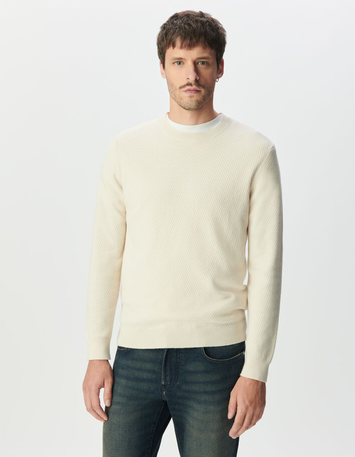Pull &eacute;cru tricot relief col rond Homme