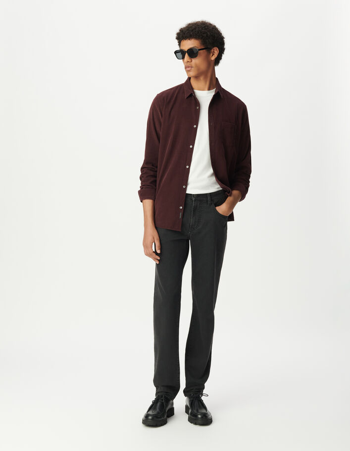 Chemise regular prune coton bio velours milleraies Homme