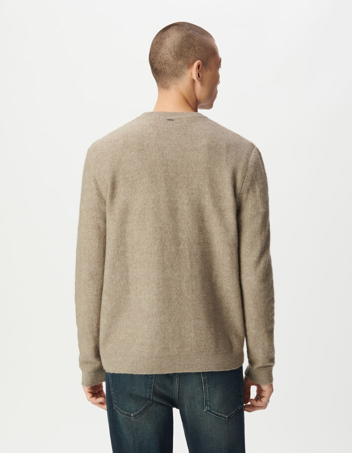 Pull beige tricot d&eacute;tail fantaisie Homme