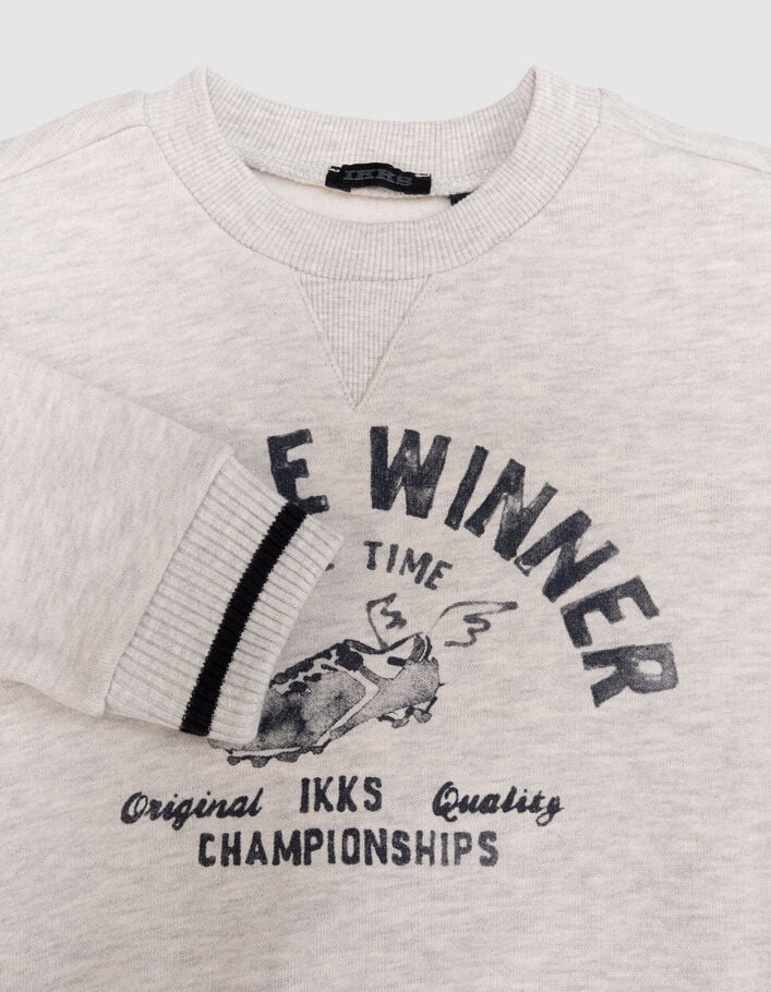 Sweat gris coton bio visuel chaussure ail&eacute;e gar&ccedil;on