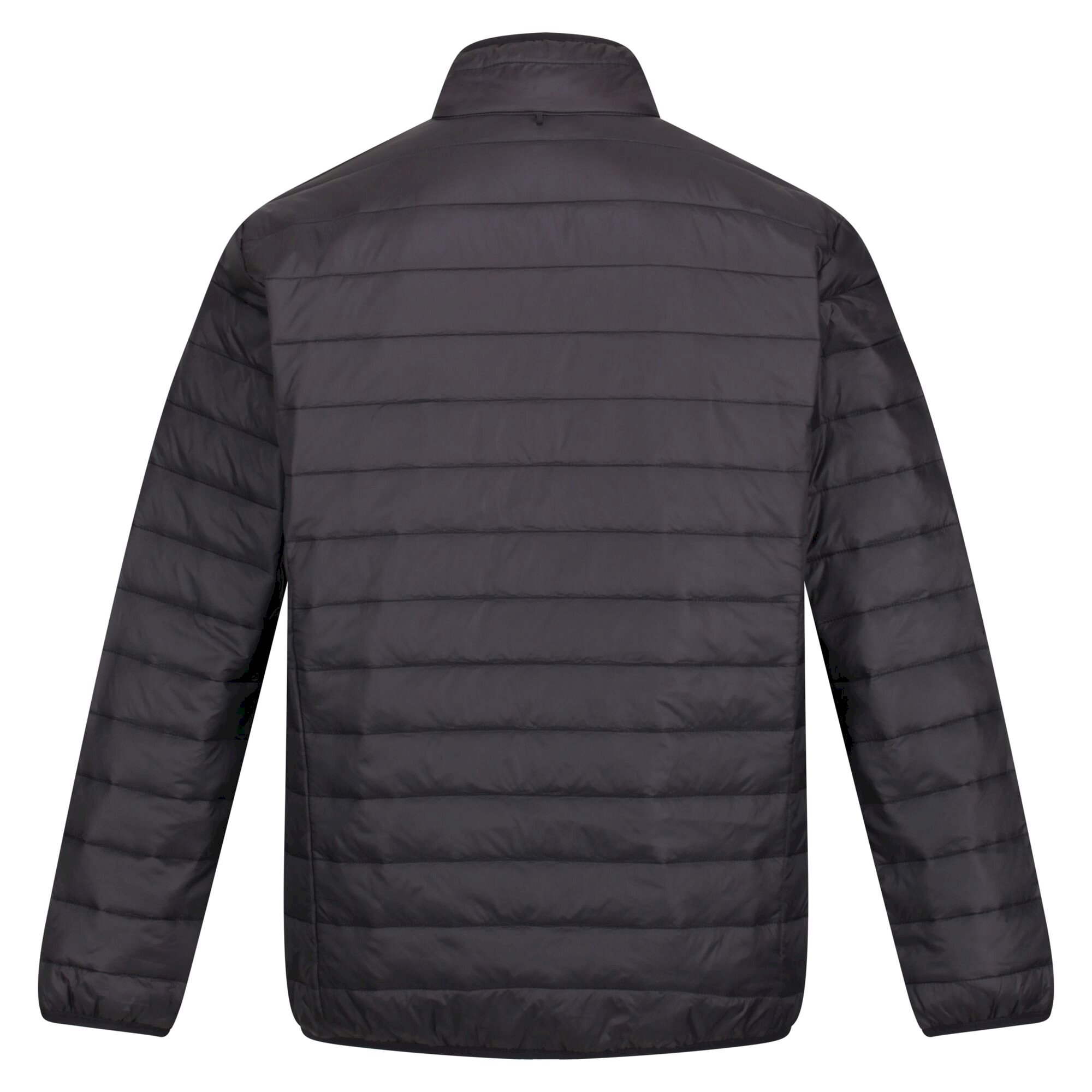 Men's Wentwood VII Waterproof Jacket | Black Bright Kiwi