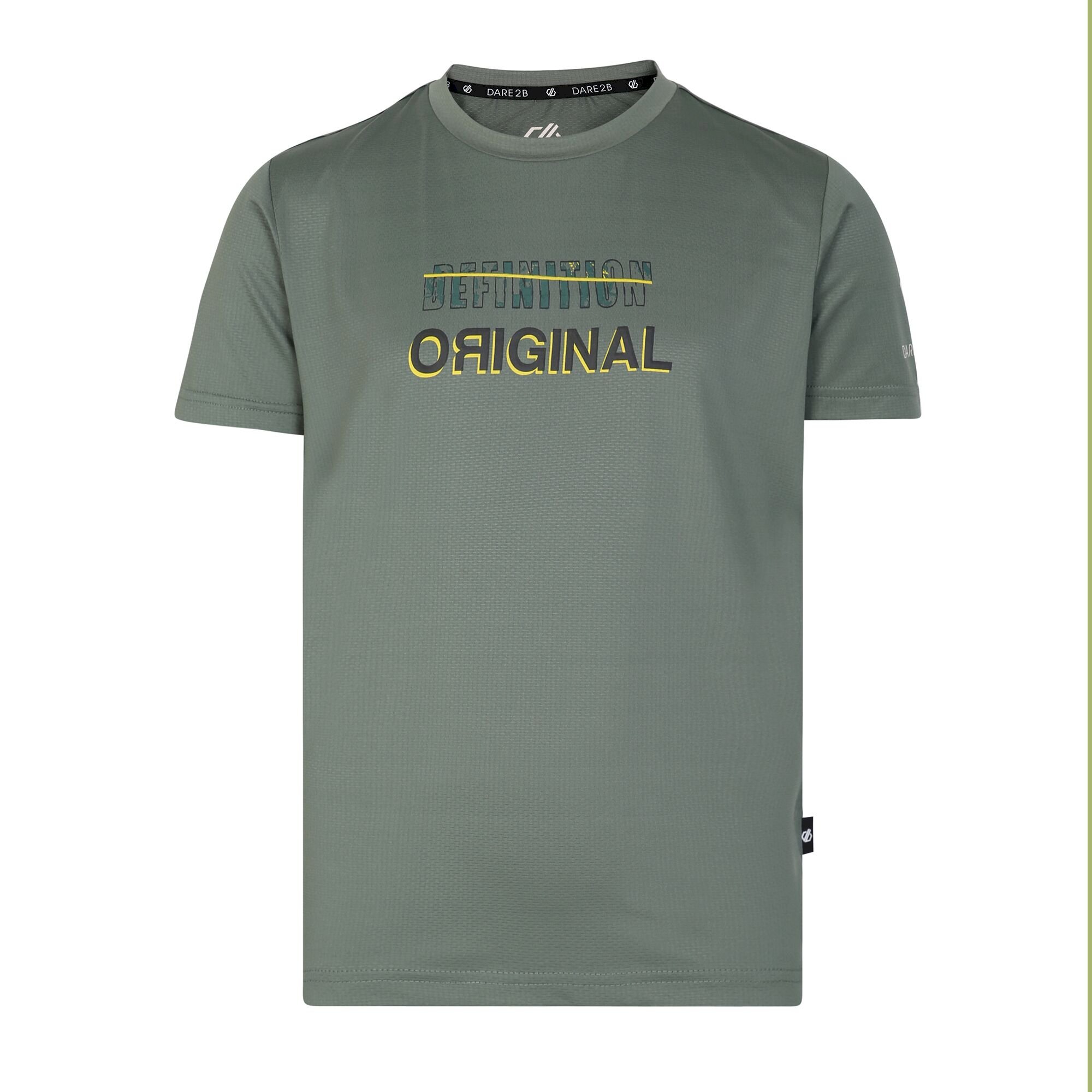 Dare 2b - Kids' Rightful Recycled Graphic Tee | Agave Green