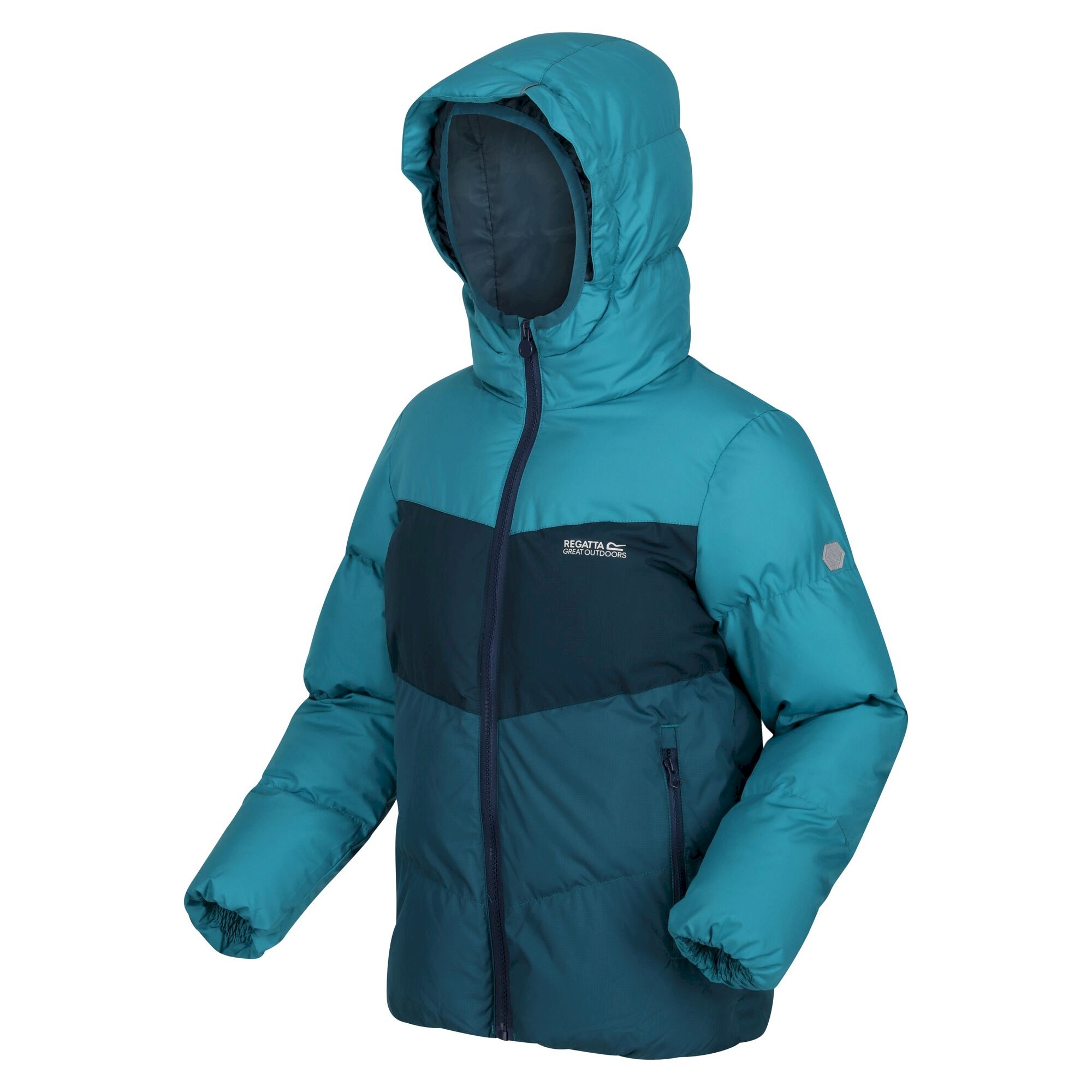 Kids' Lofthouse VI Insulated Jacket | Pagoda Blue Reflecting Lake Dragonfly