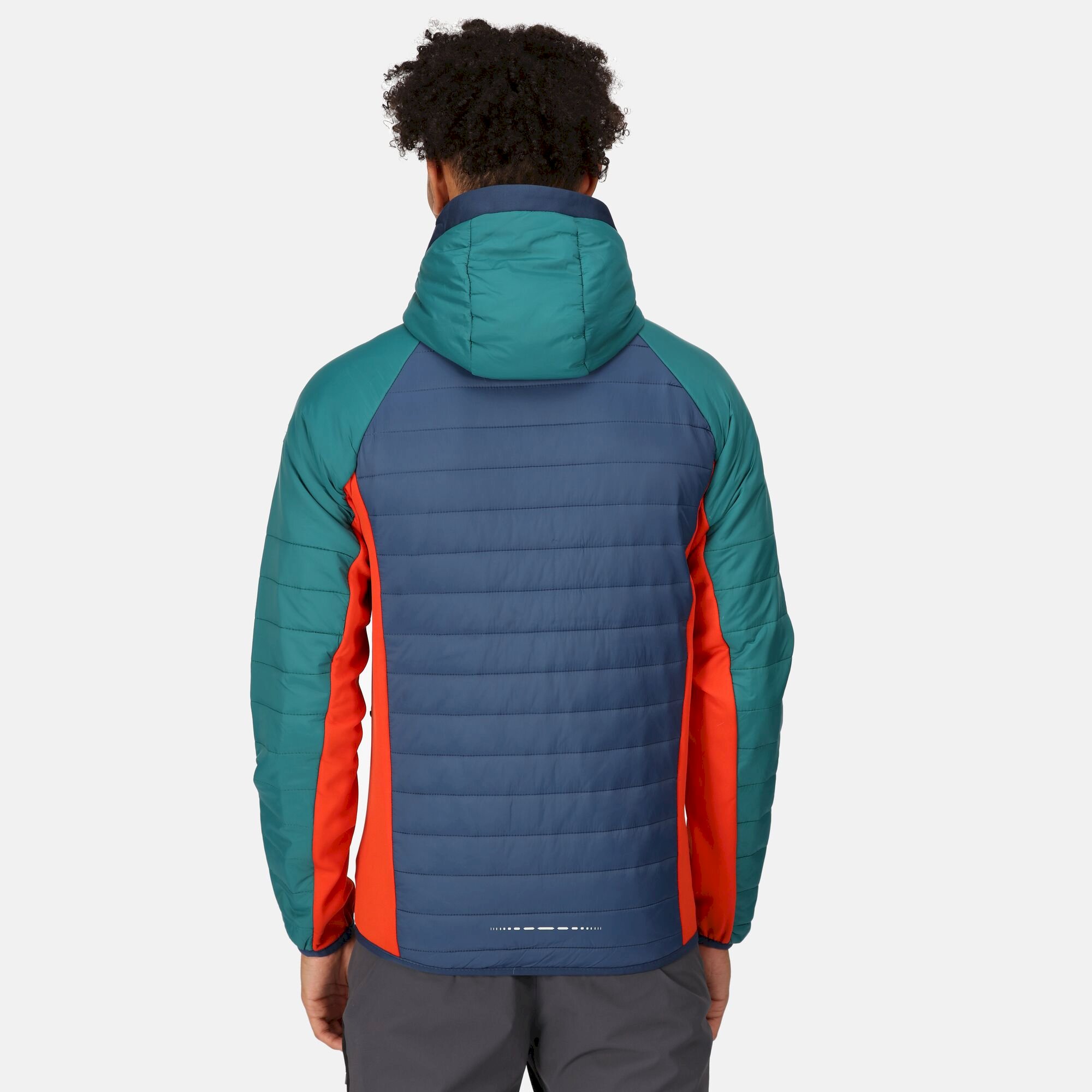 Men's Trutton Softshell Hooded Jacket | Admiral Blue Pacific Green