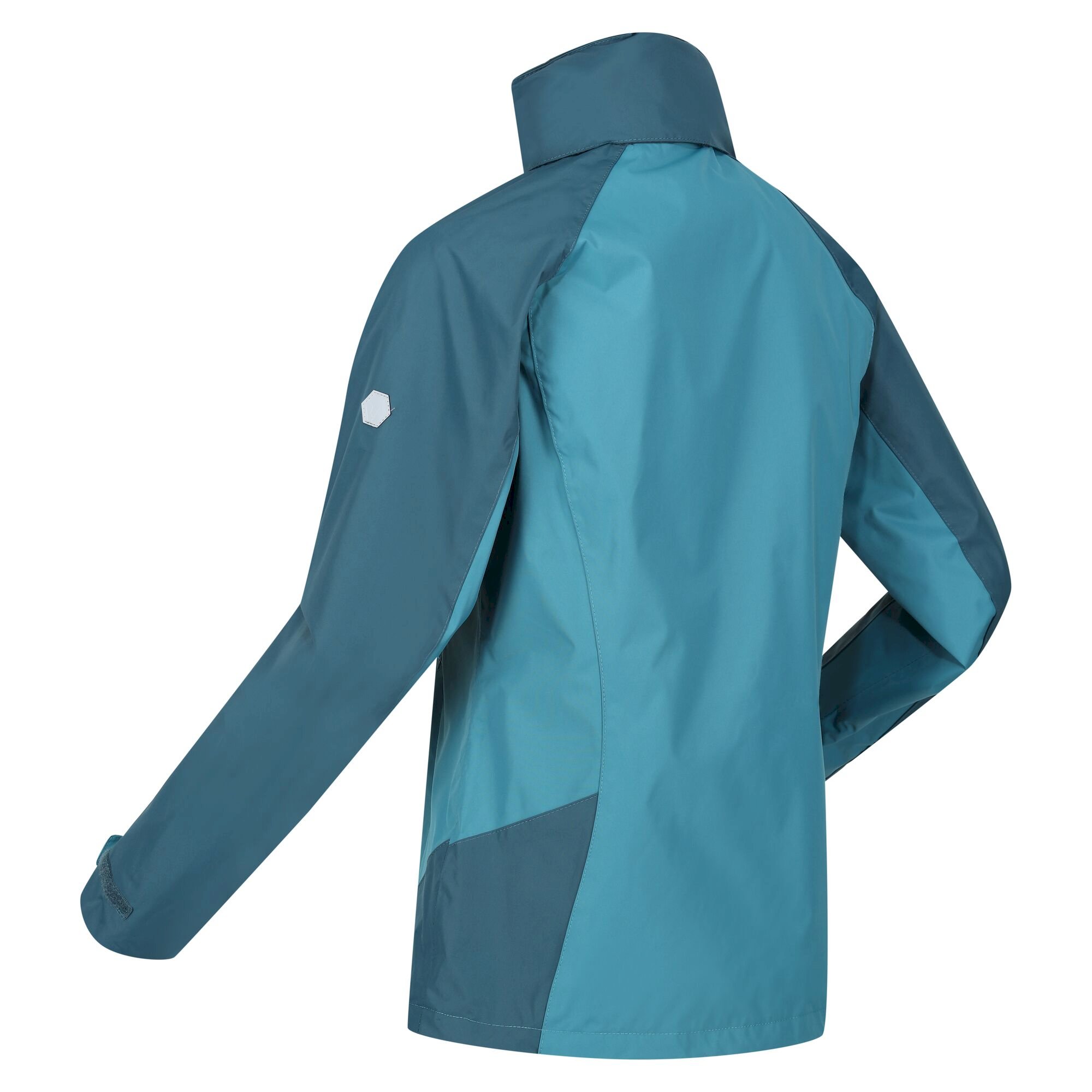 Women's Calderdale IV Waterproof Jacket | Dragonfly Reflecting Lake