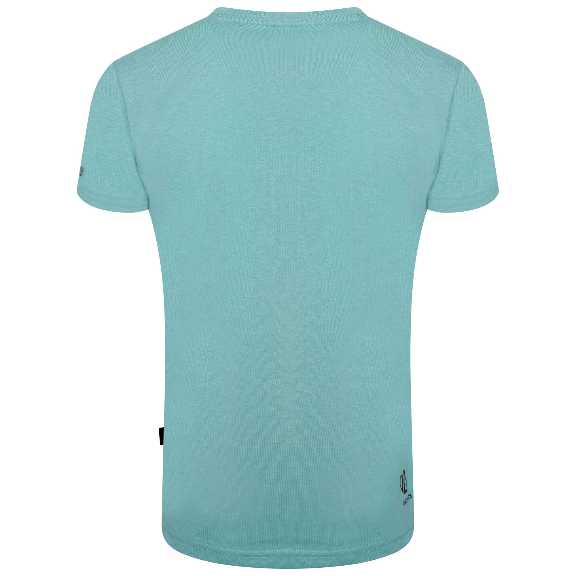 Dare 2b - Kids' Go Beyond Graphic Tee | Meadowbrook Green