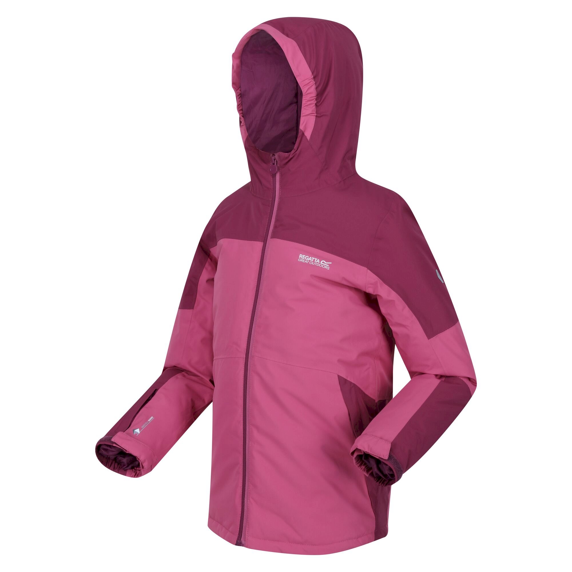 Kids' Beamz II Insulated Jacket | Violet Amaranth Haze