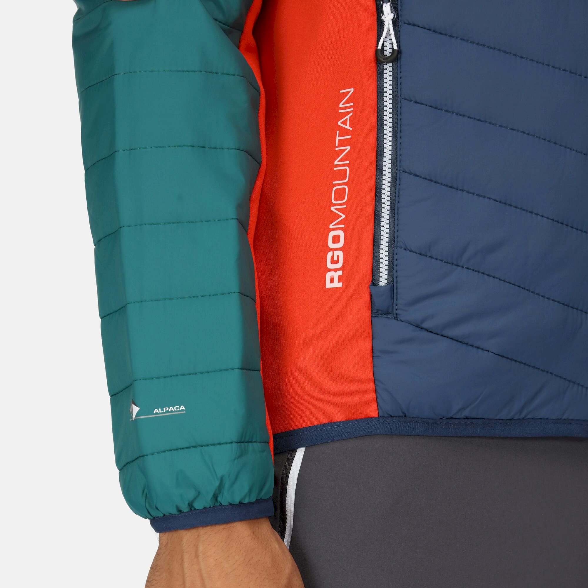 Men's Trutton Softshell Hooded Jacket | Admiral Blue Pacific Green