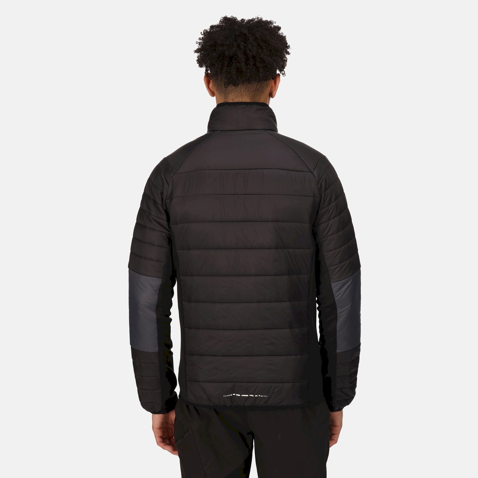 Men's Halton VI Softshell Jacket | Dark Grey Black