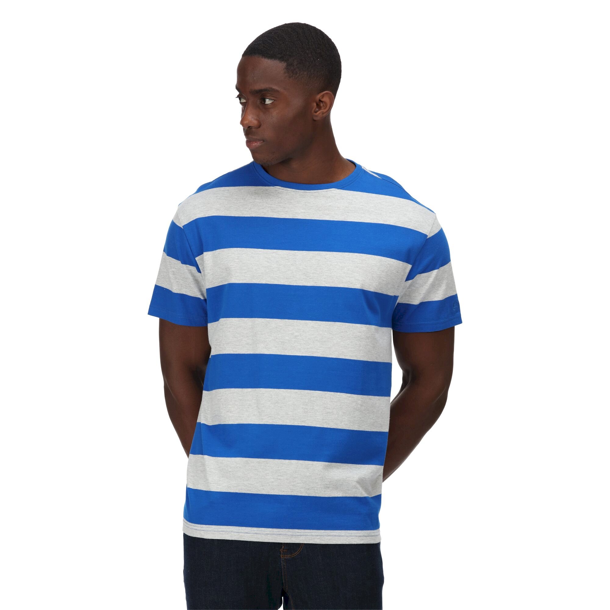 Men's Brayden Stripe T-Shirt | Lapis Blue Stripe