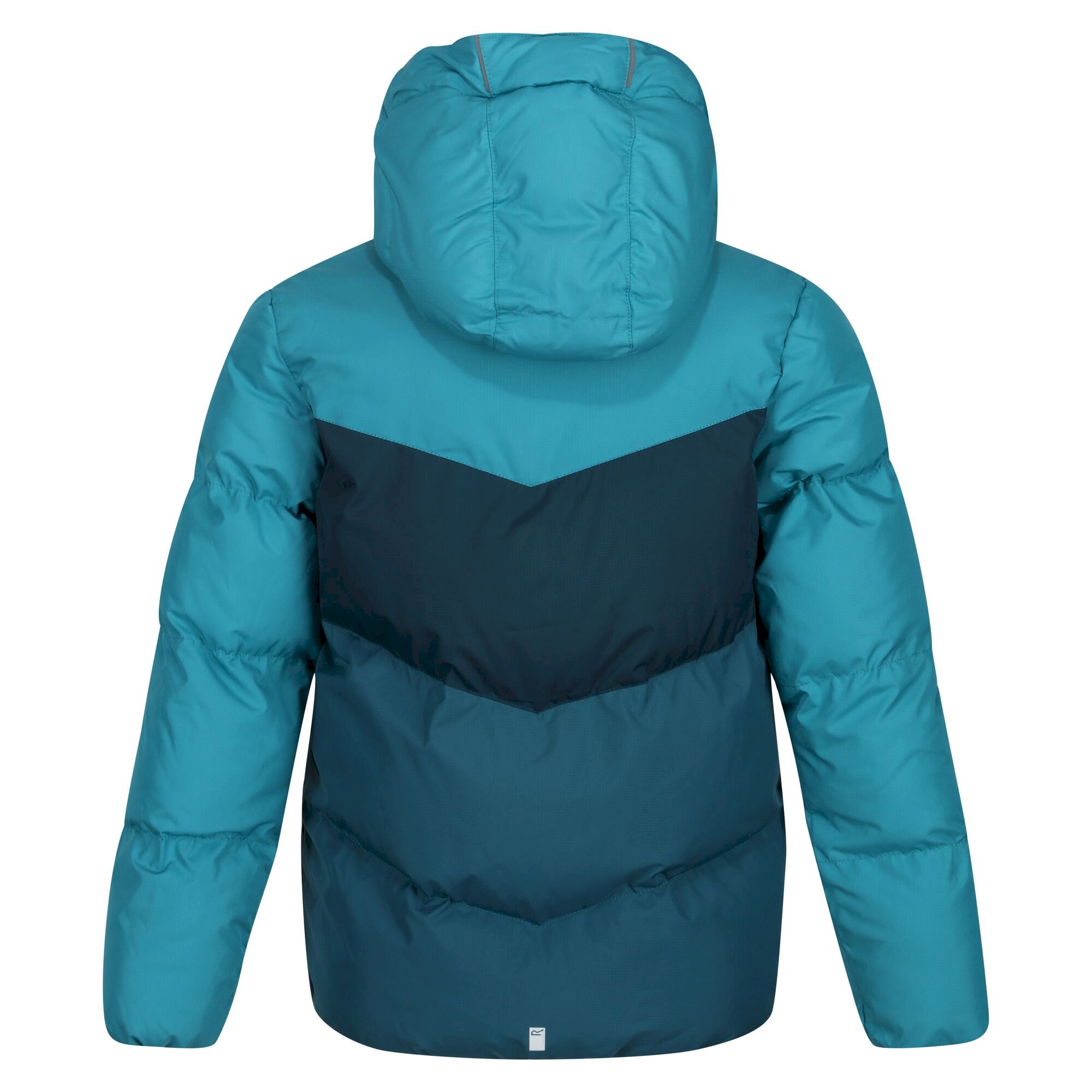 Kids' Lofthouse VI Insulated Jacket | Pagoda Blue Reflecting Lake Dragonfly