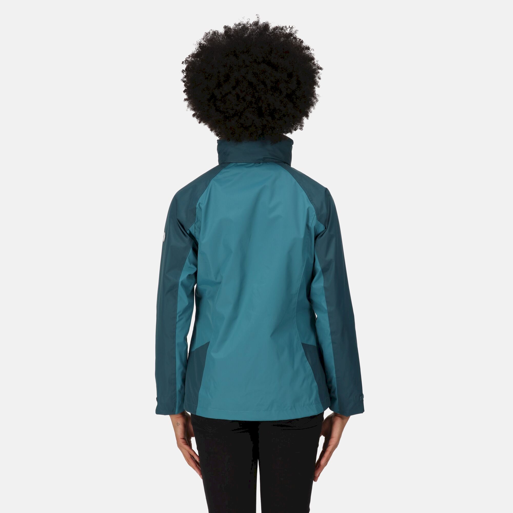 Women's Calderdale IV Waterproof Jacket | Dragonfly Reflecting Lake