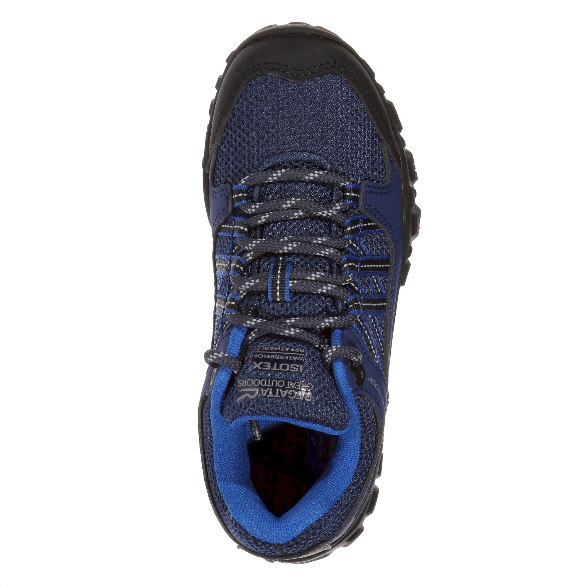 Kids' Edgepoint Waterproof Low Walking Shoes | Admiral Blue Black