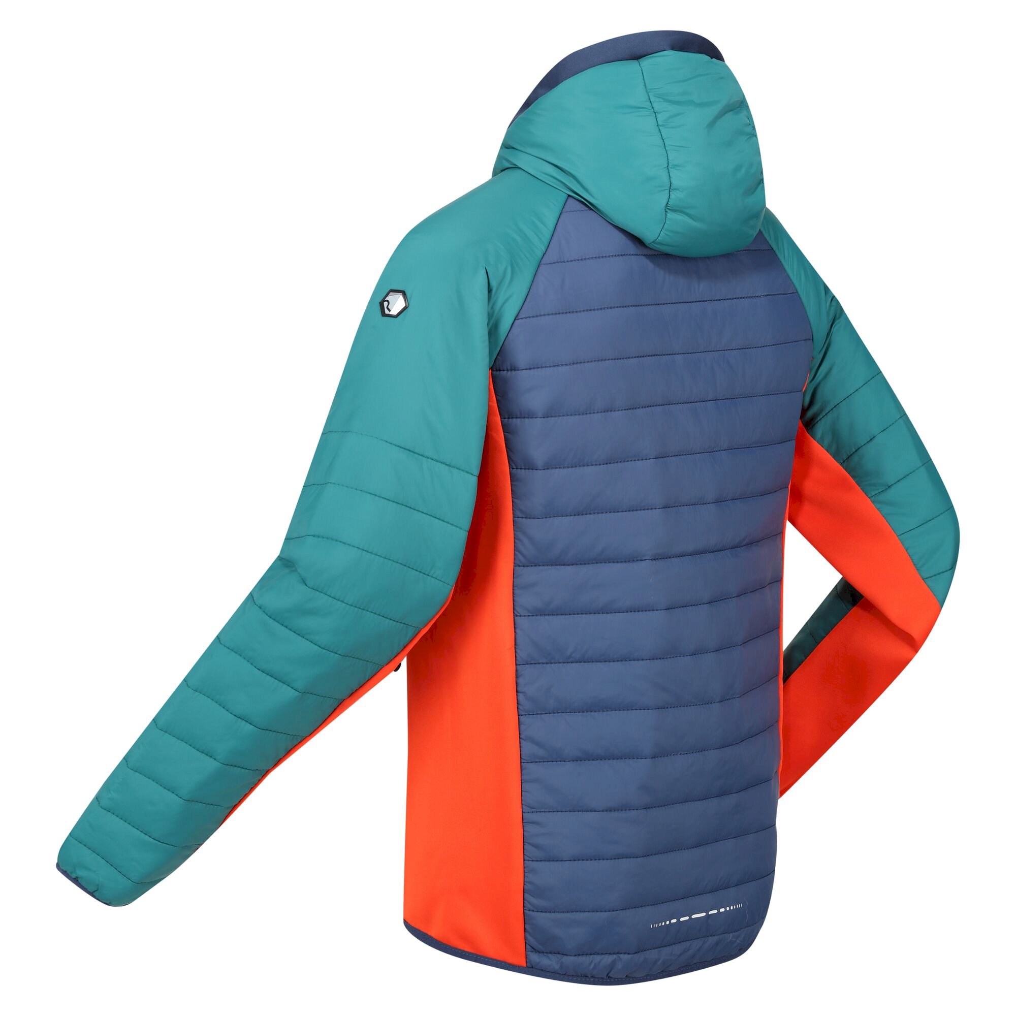 Men's Trutton Softshell Hooded Jacket | Admiral Blue Pacific Green