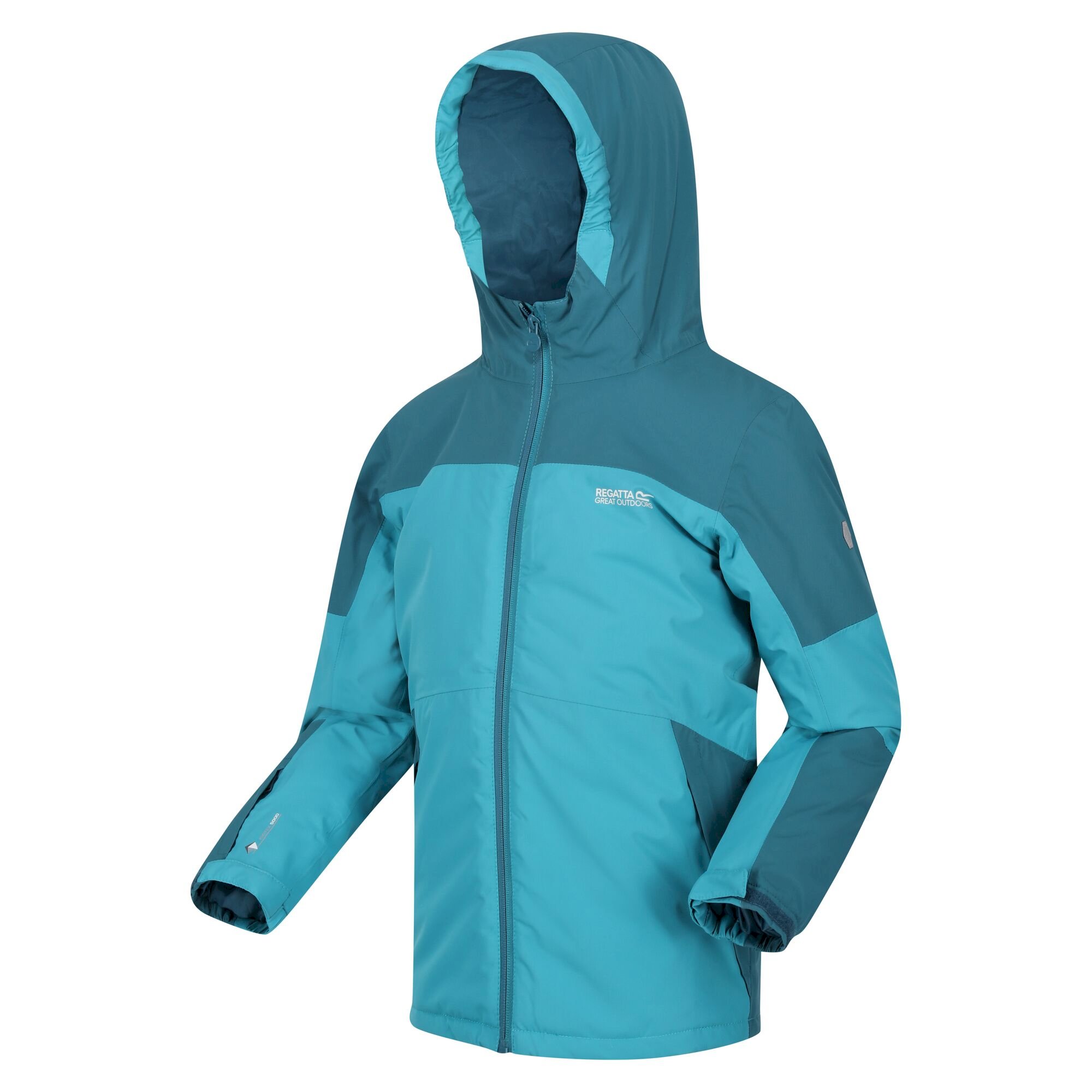 Kids' Beamz II Insulated Jacket | Pagoda Blue Dragonfly
