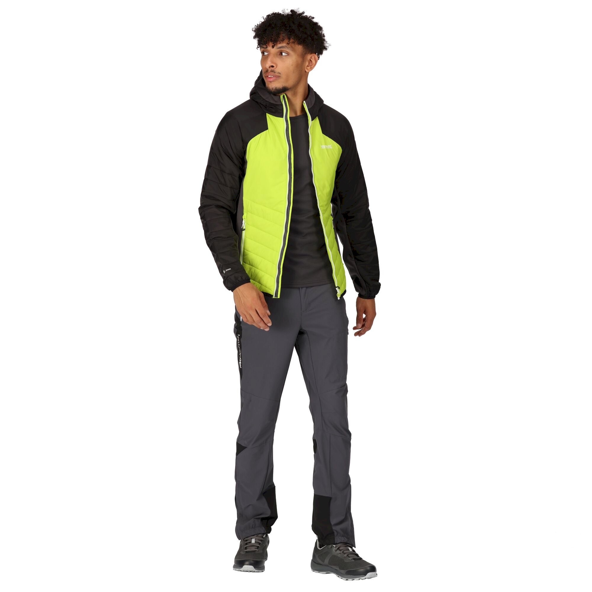 Men's Trutton Softshell Hooded Jacket | Bright Kiwi Black