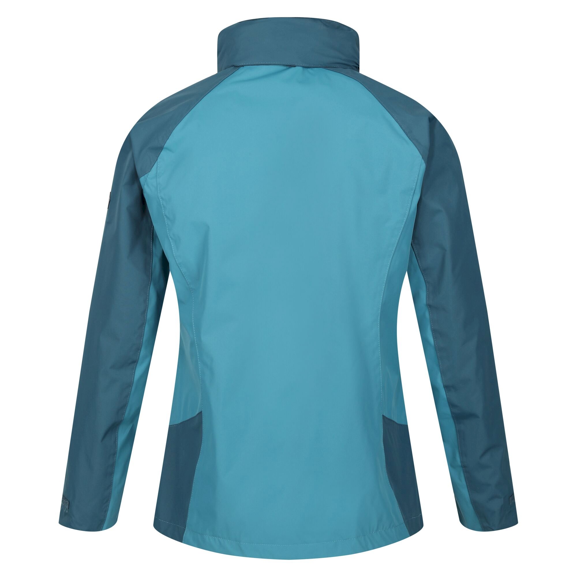 Women's Calderdale IV Waterproof Jacket | Dragonfly Reflecting Lake