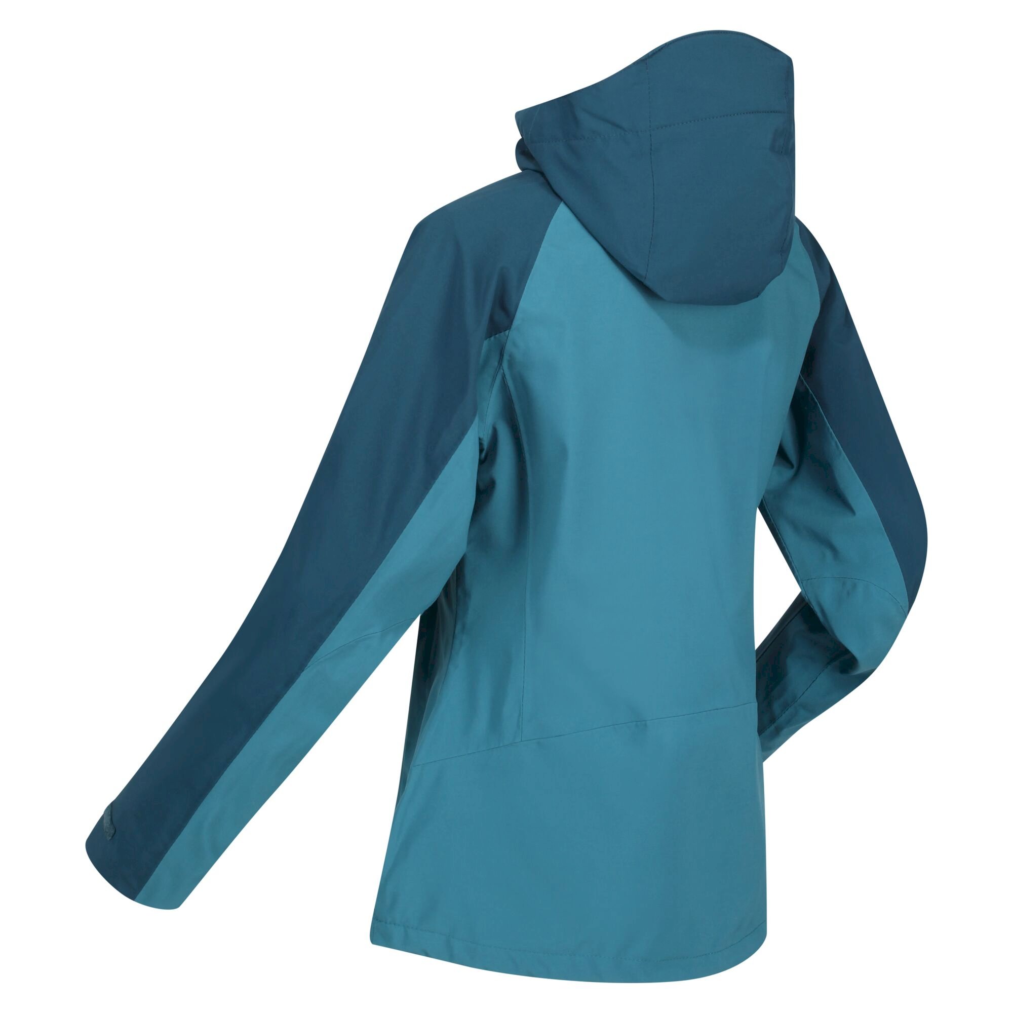 Women's Birchdale Waterproof Jacket | Dragonfly Reflecting Lake
