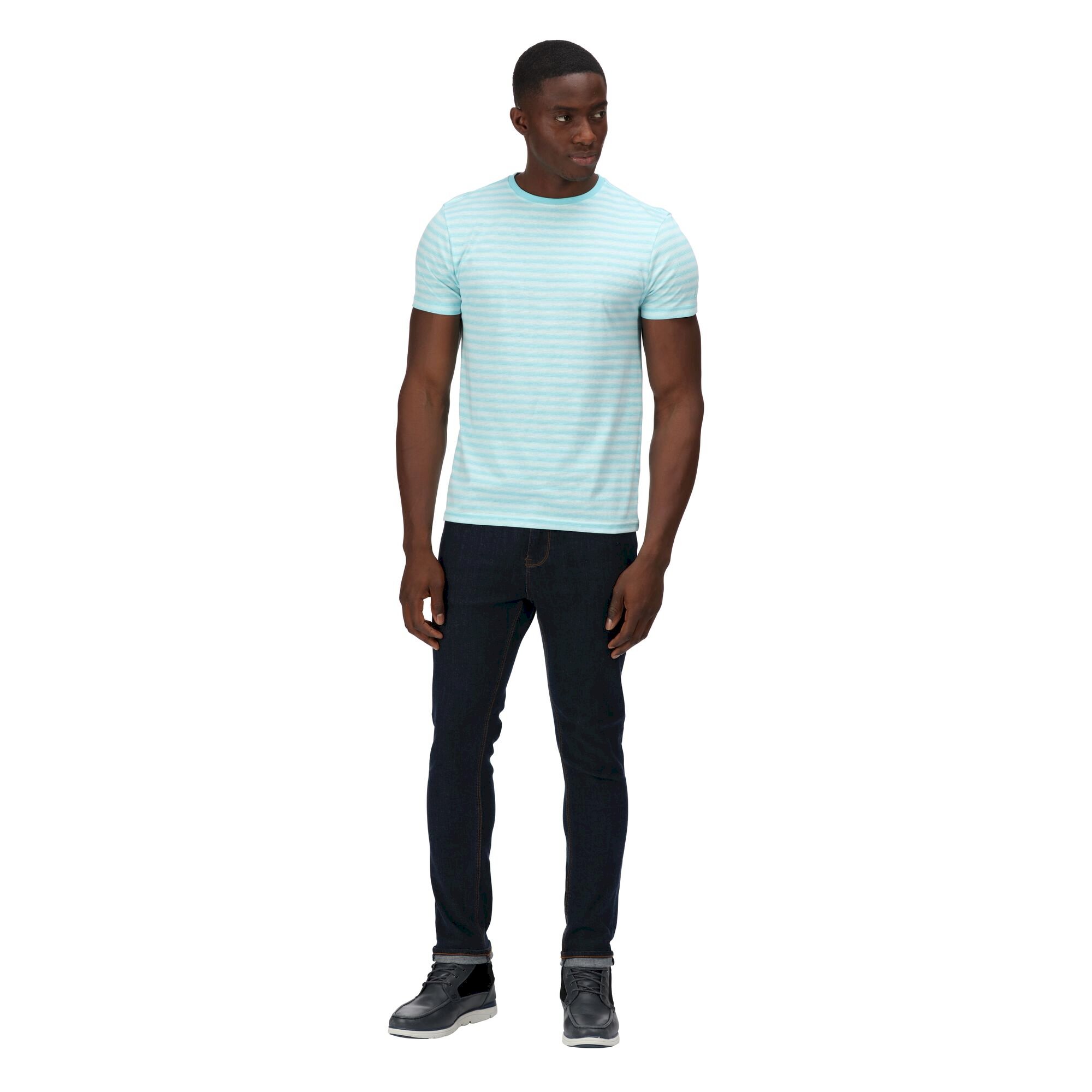 Men's Brayden Stripe T-Shirt | Antigua Blue Mini Stripe