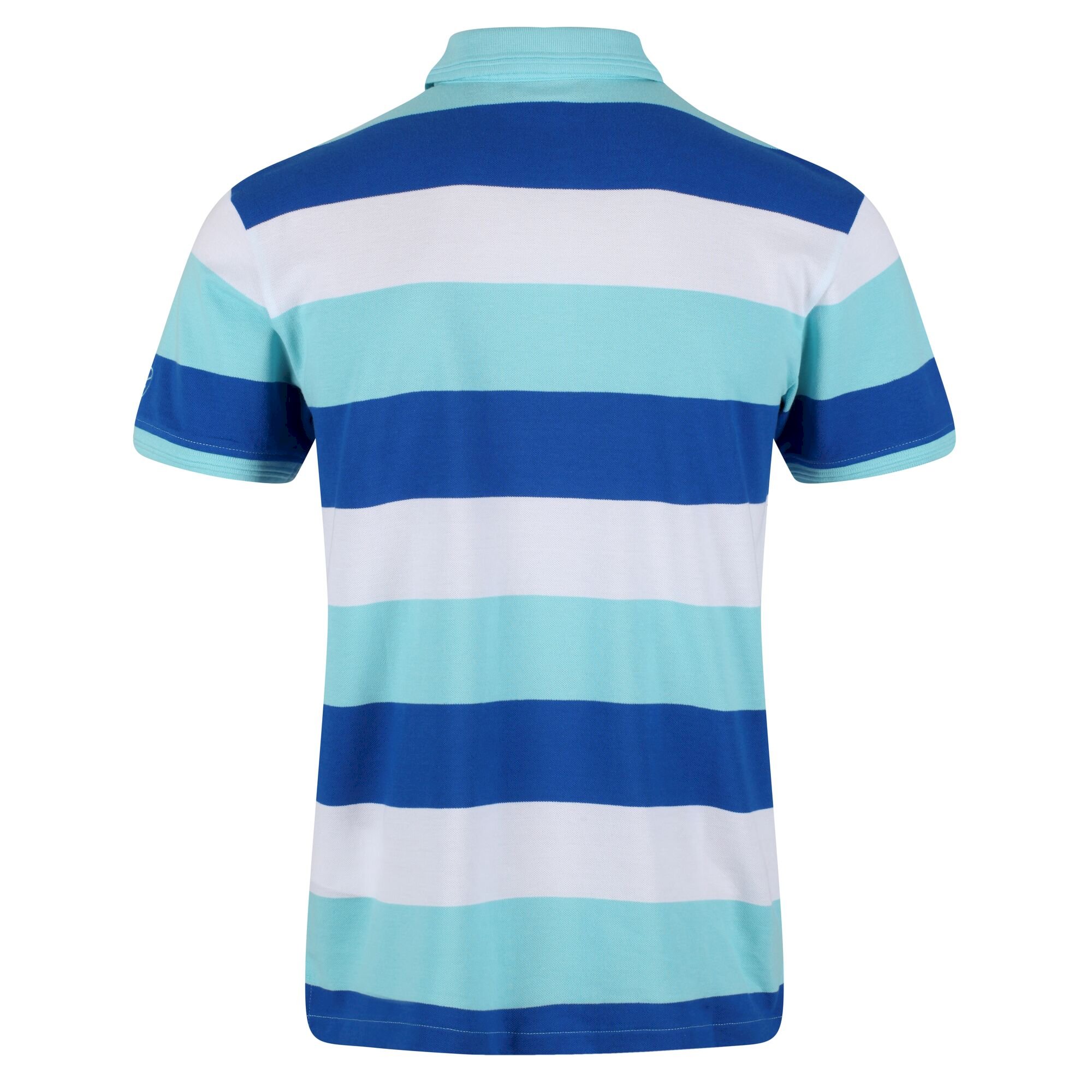 Men's Maxen Stripe Polo Shirt | Anitgua Stripe