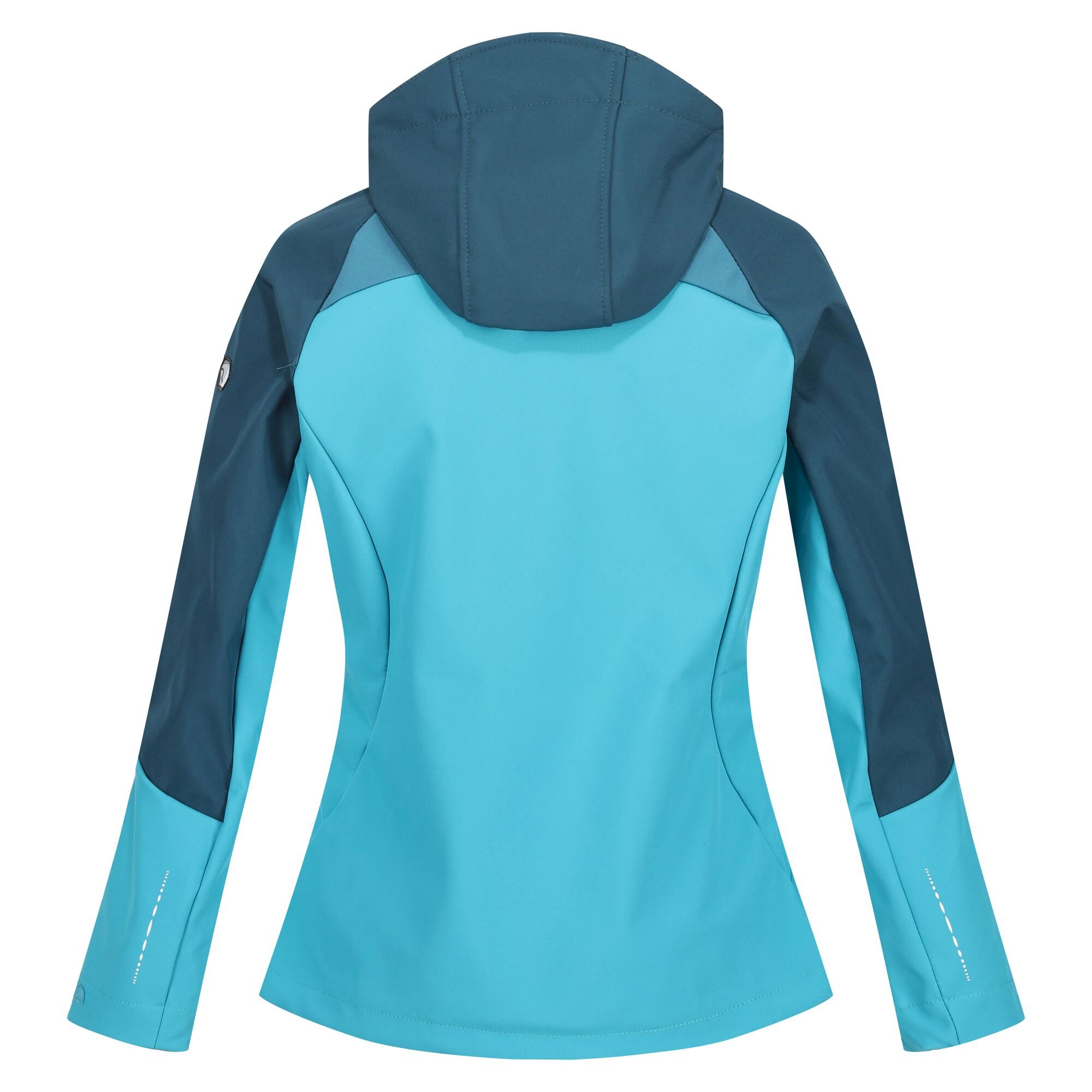Women's Desoto VIII Lightweight Jacket | Reflecting Lake Dragonfly