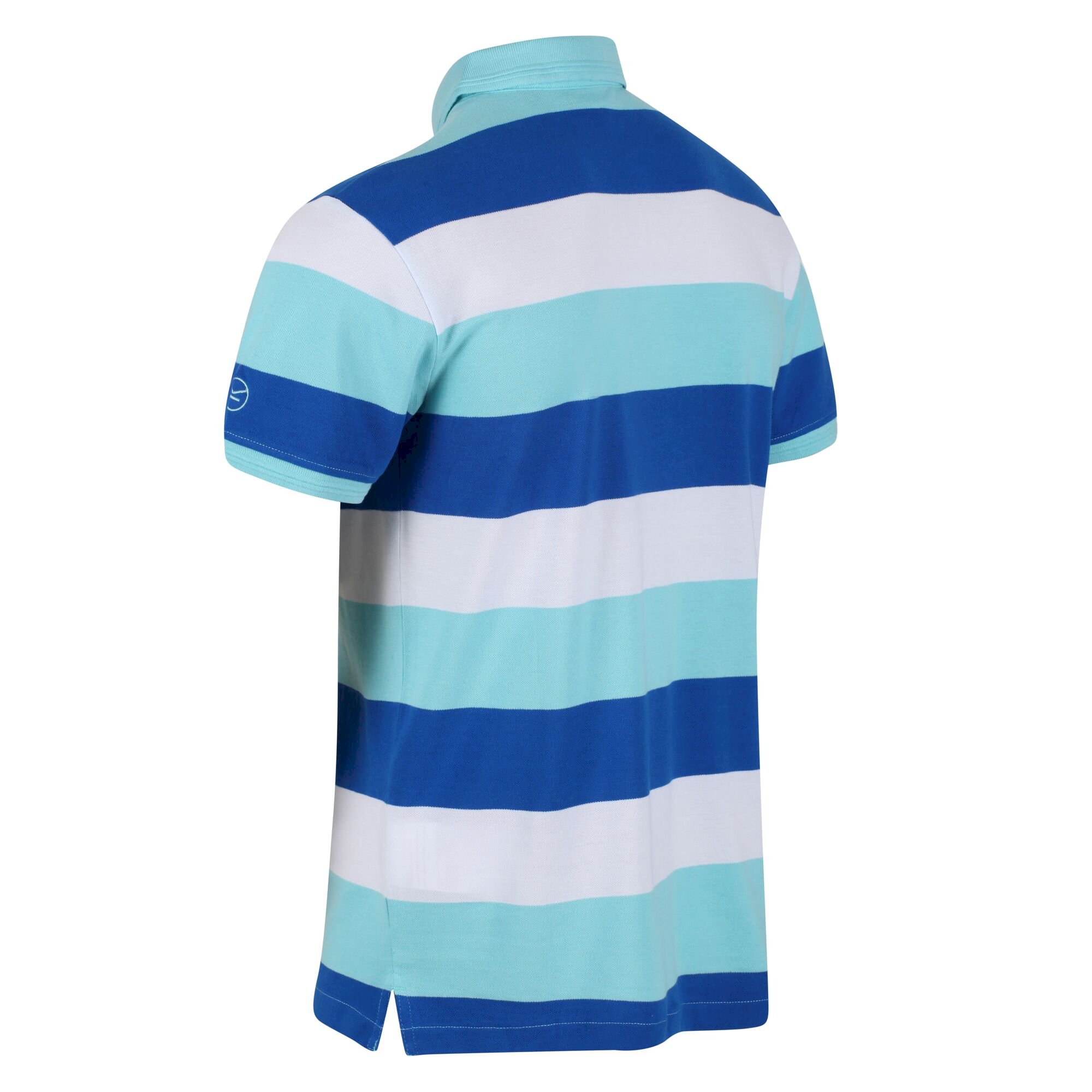 Men's Maxen Stripe Polo Shirt | Anitgua Stripe