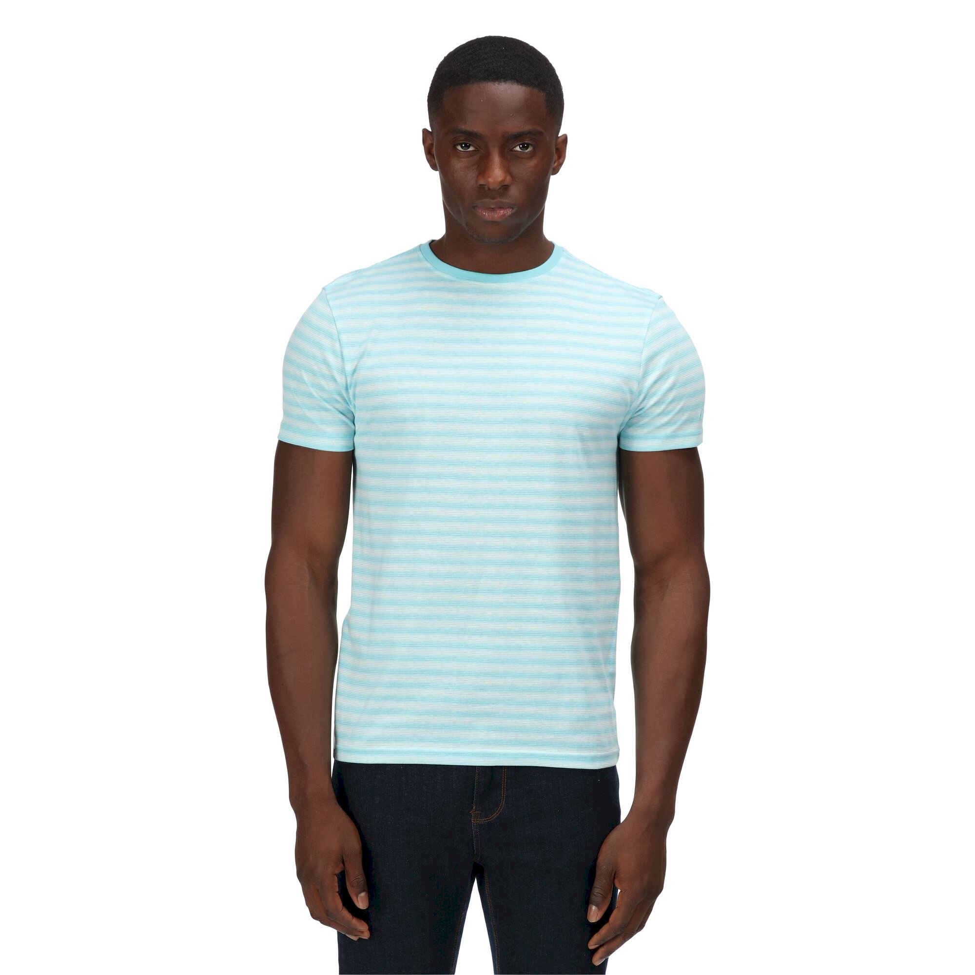 Men's Brayden Stripe T-Shirt | Antigua Blue Mini Stripe