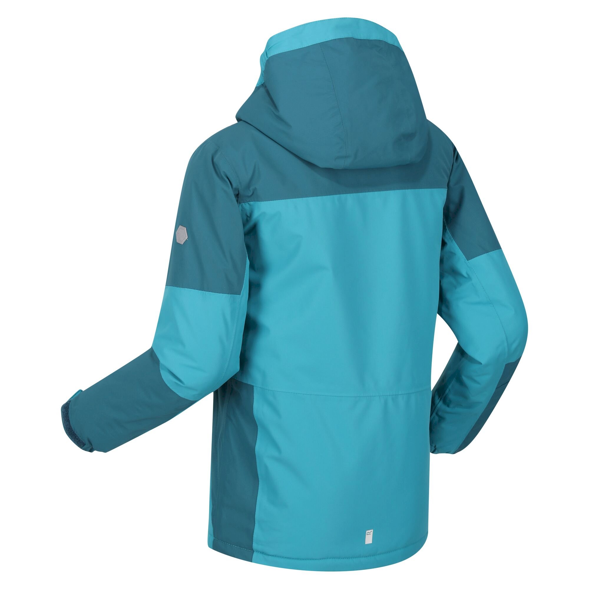 Kids' Beamz II Insulated Jacket | Pagoda Blue Dragonfly