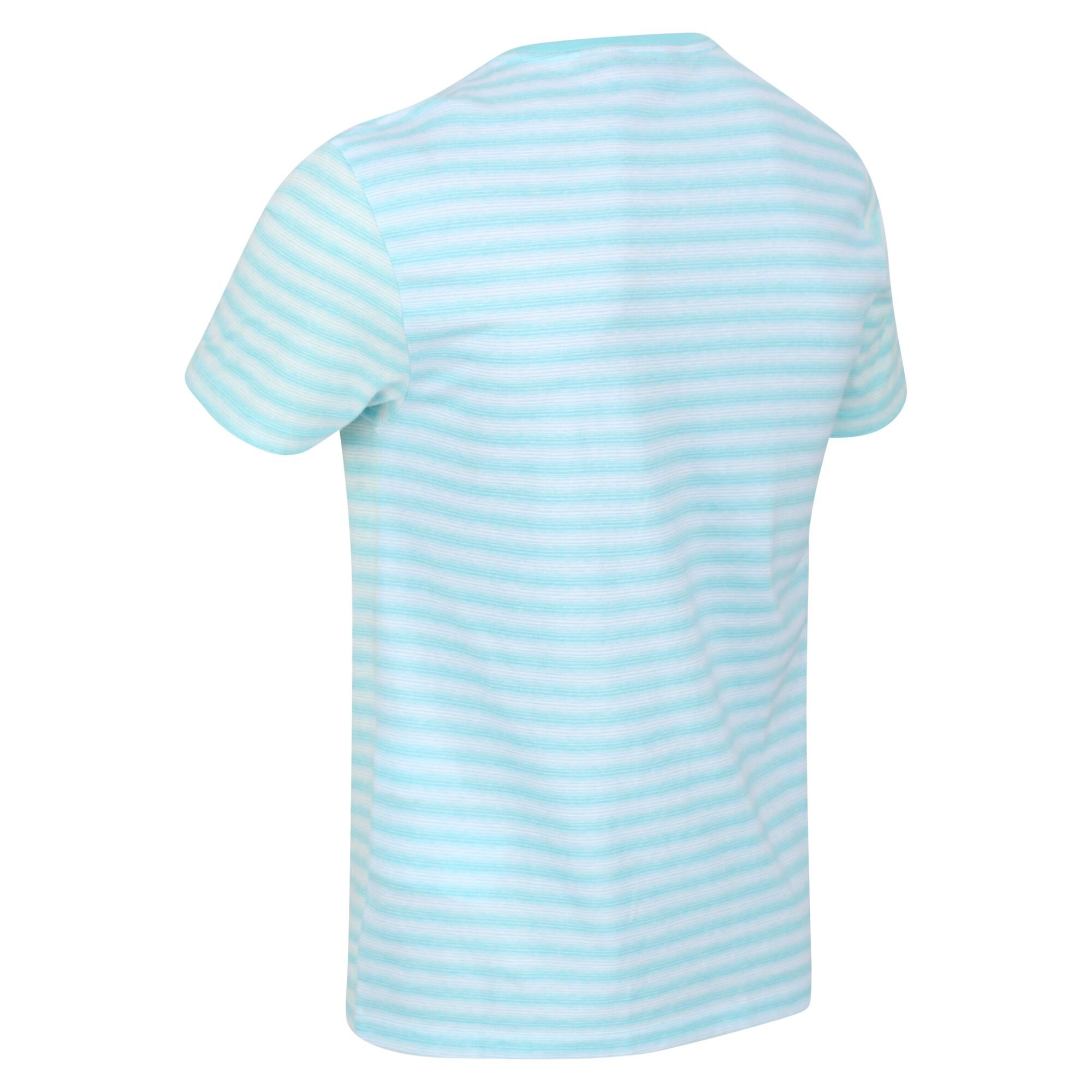 Men's Brayden Stripe T-Shirt | Antigua Blue Mini Stripe