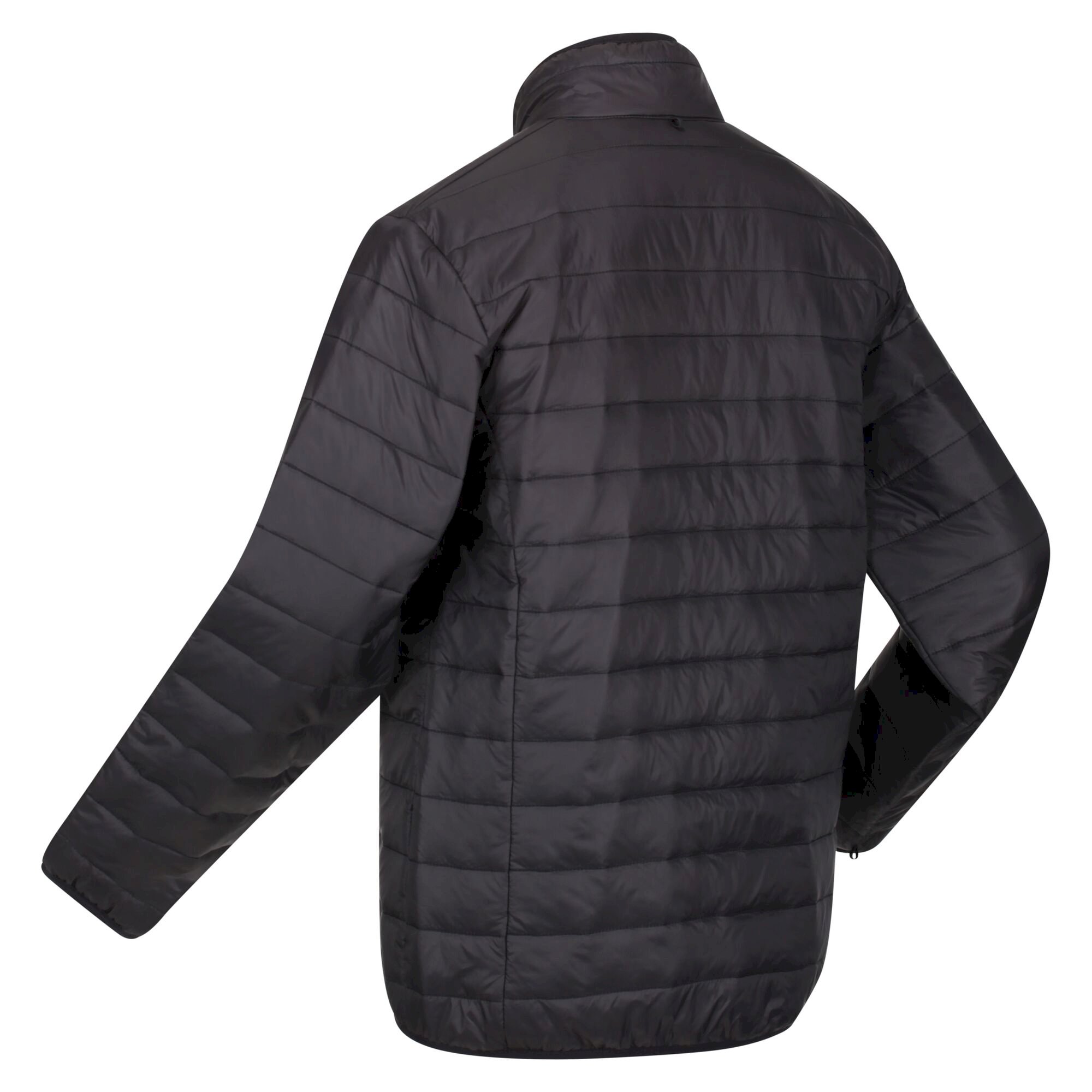 Men's Wentwood VII Waterproof Jacket | Black Bright Kiwi