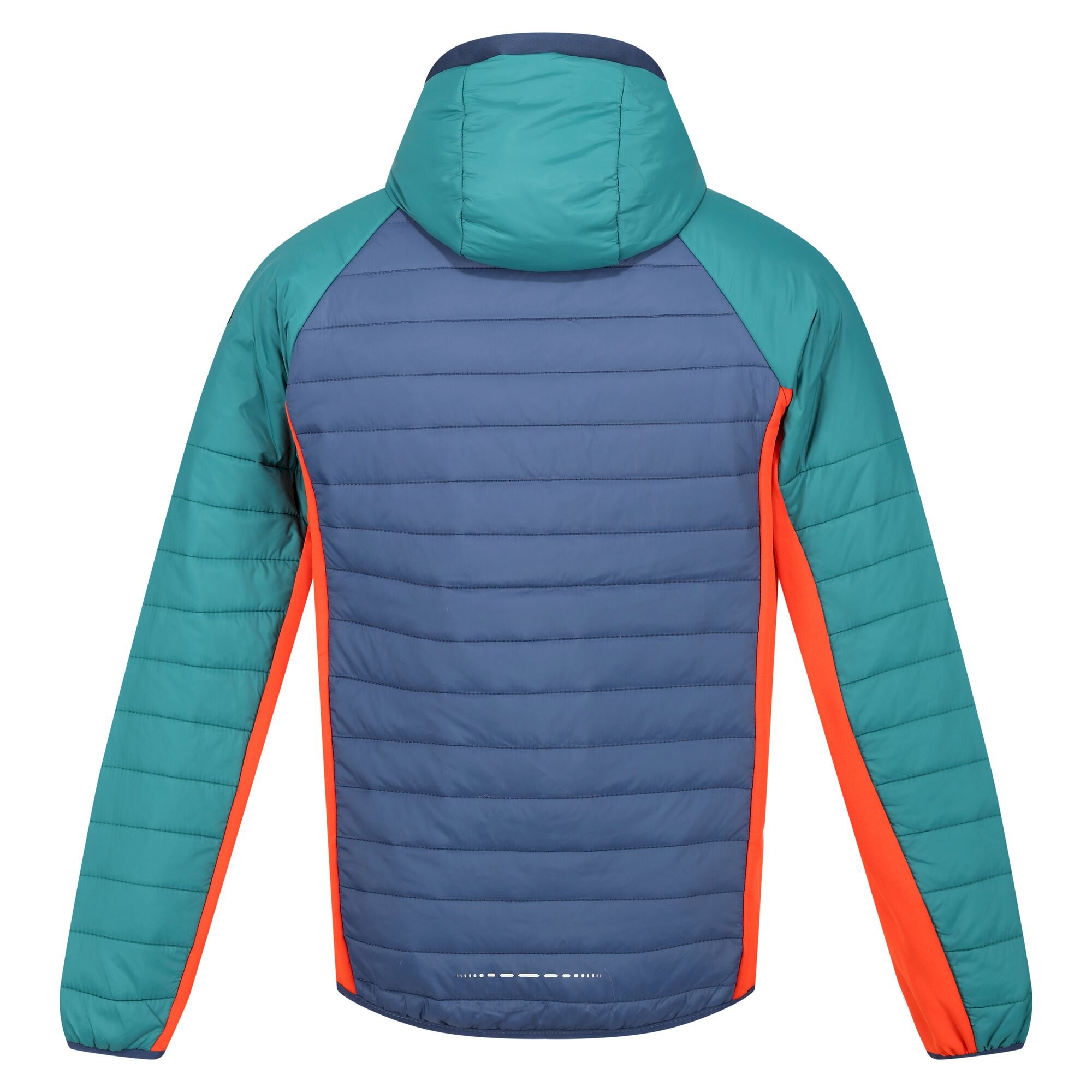 Men's Trutton Softshell Hooded Jacket | Admiral Blue Pacific Green