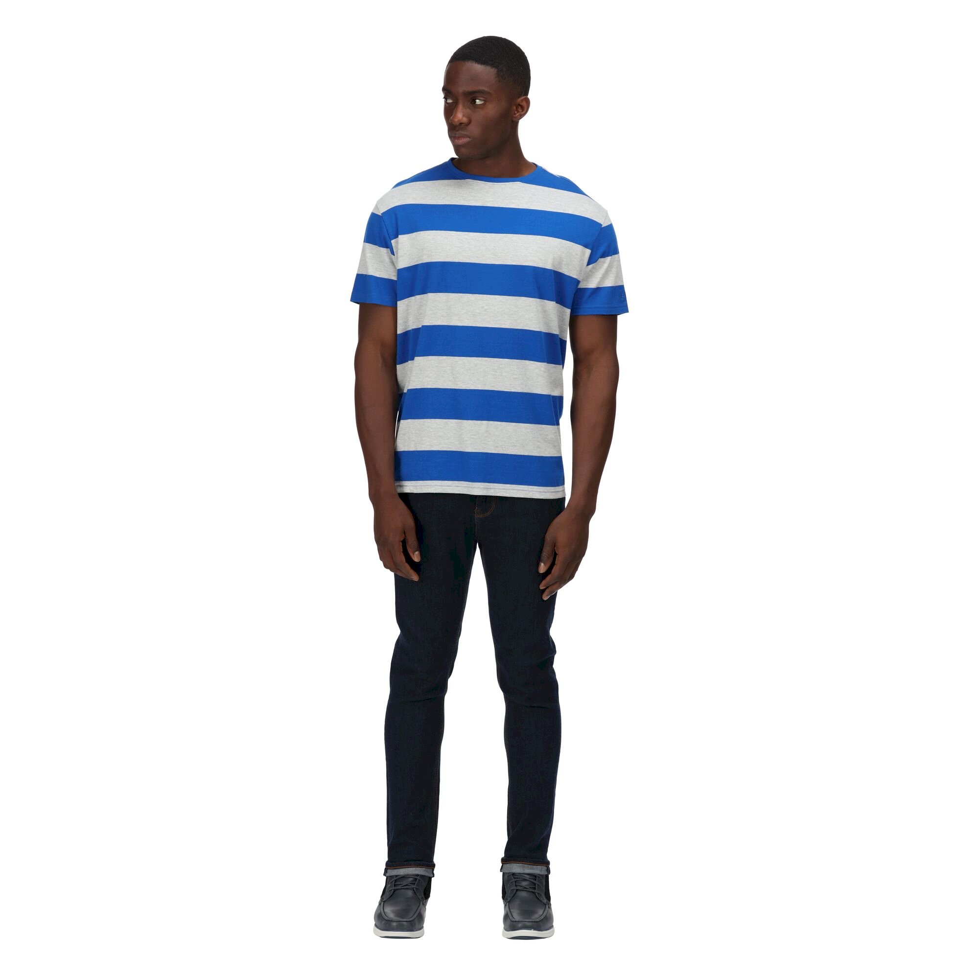 Men's Brayden Stripe T-Shirt | Lapis Blue Stripe